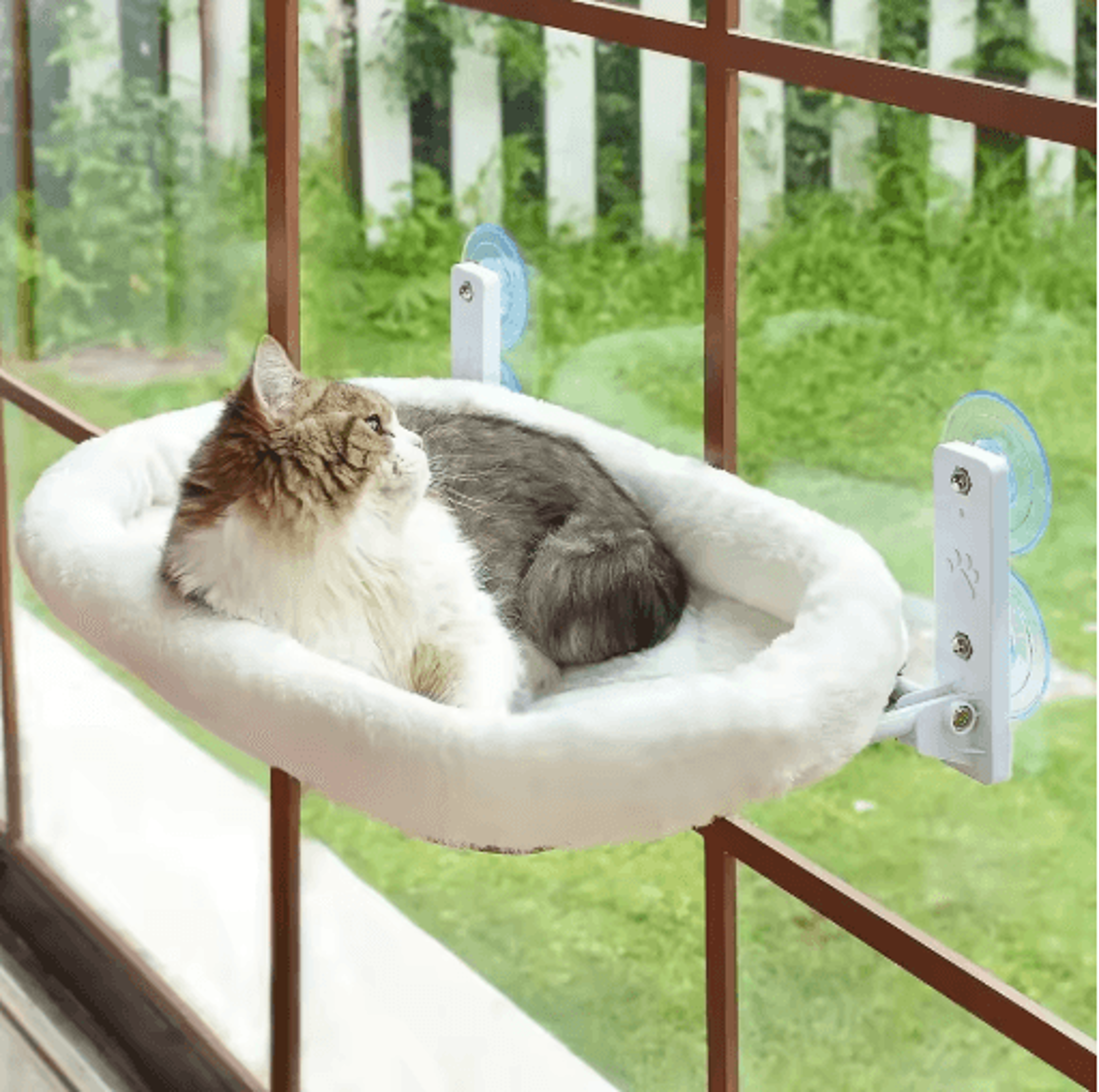 Sunny Perch Window Cat Hammock  Suction Cup Hanging Sunbathing Bed 0