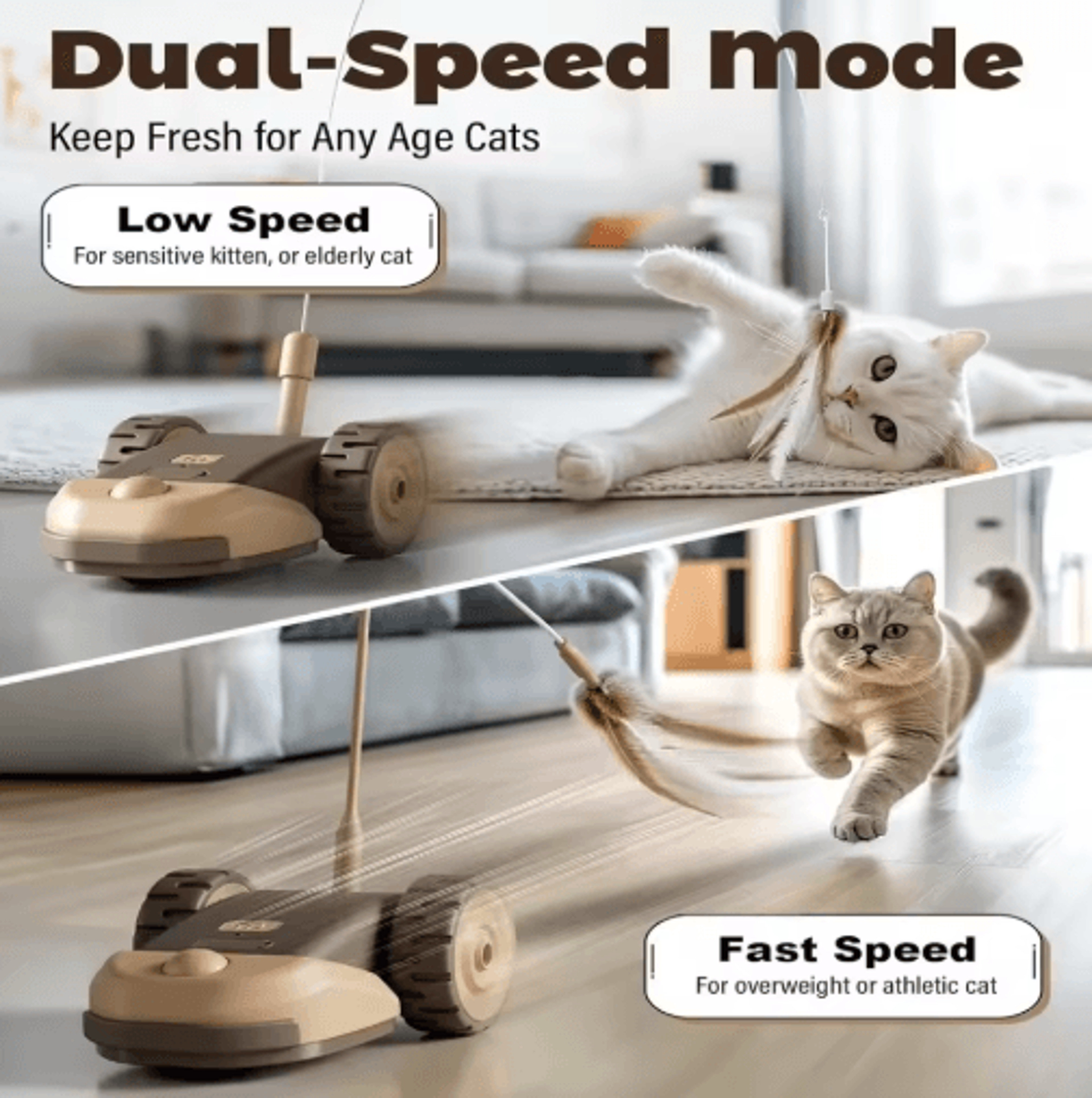 ZoomRush Smart Automatic Moving Pet Toy Car  Interactive Touch WakeUp Toy 5