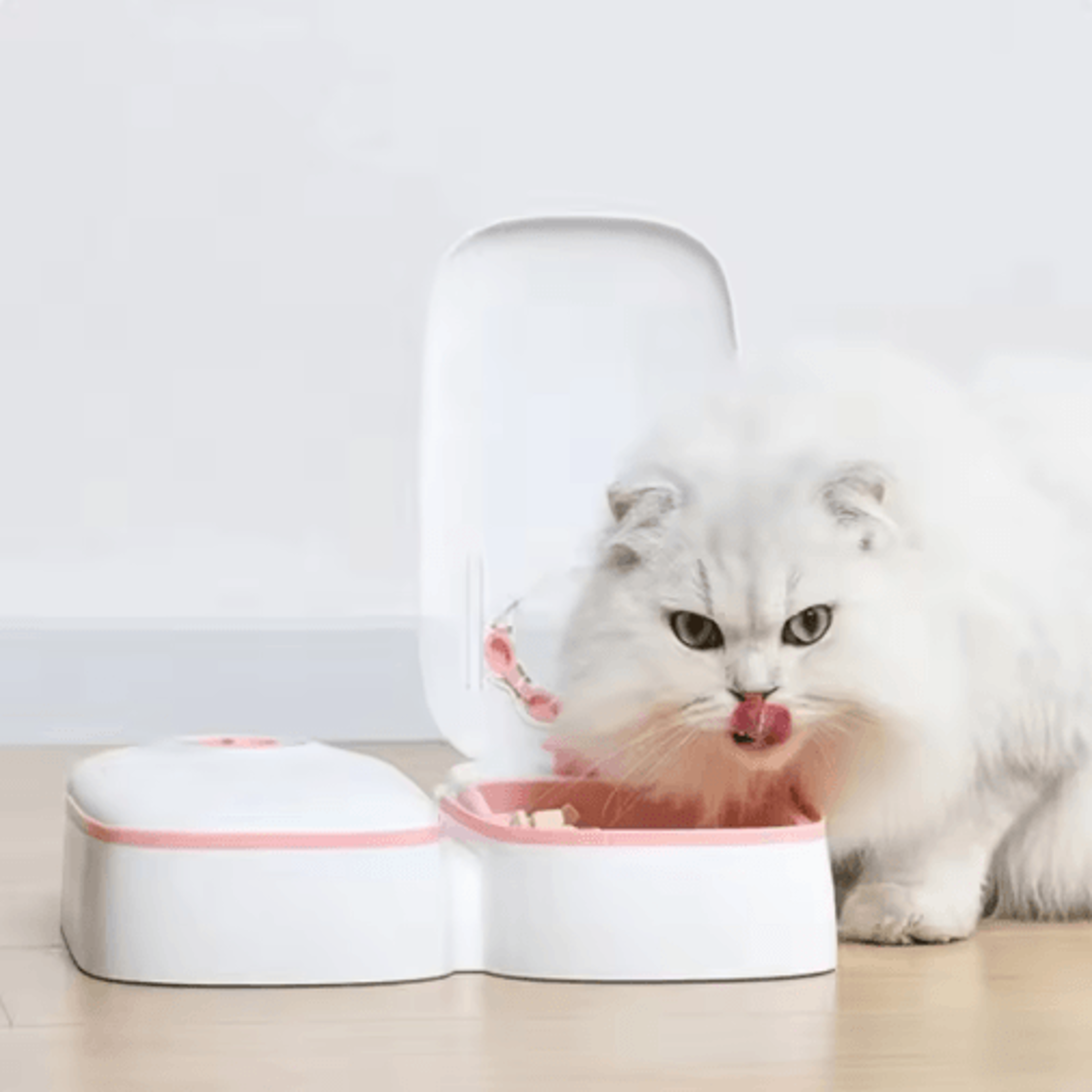 Automatic Pet Feeder  Water Bowl With Timer Food Storage Dispenser 5