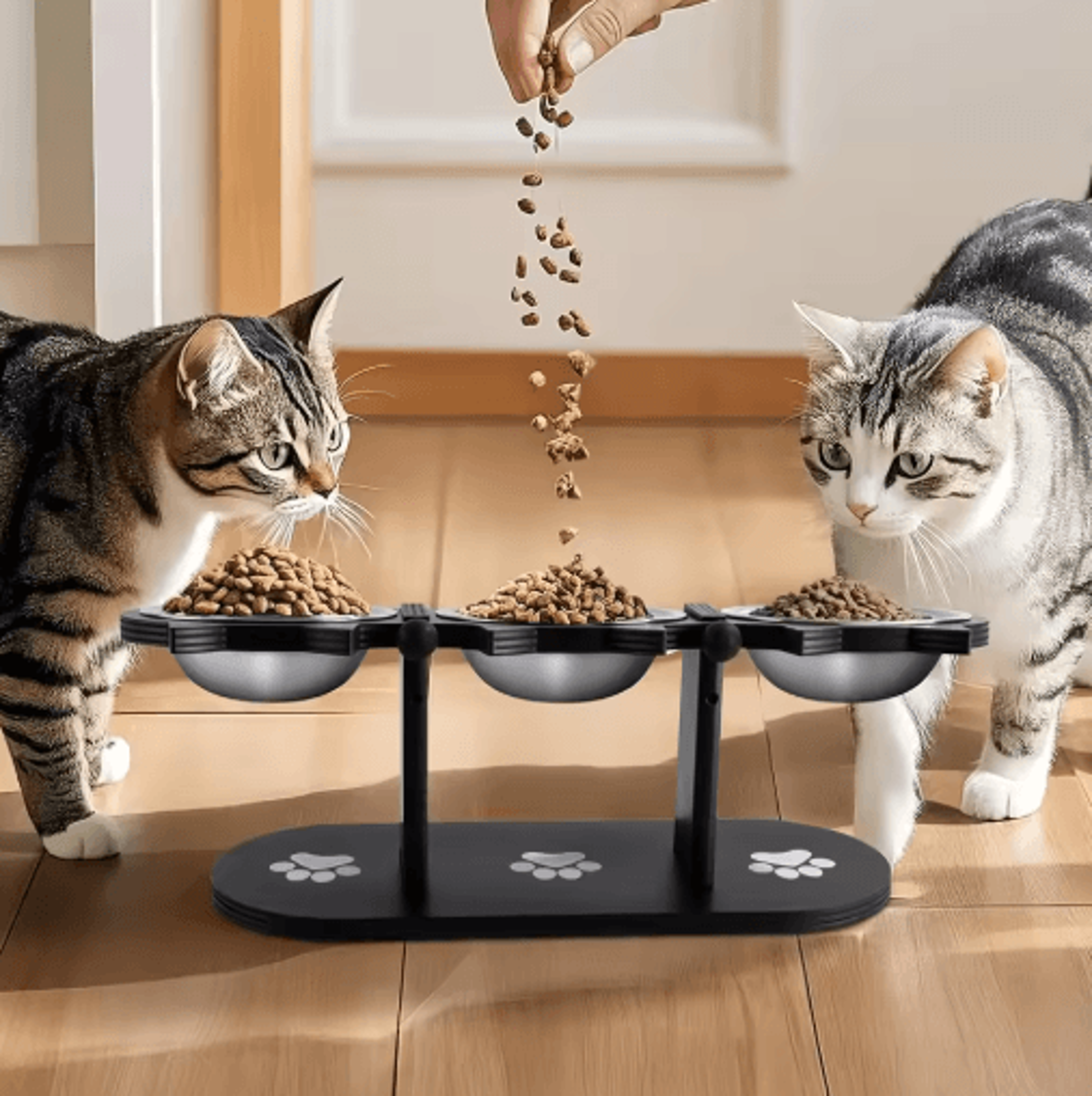 Elevated Cat Feeder With Solid Wood Frame  Stainless Steel Bowls 6