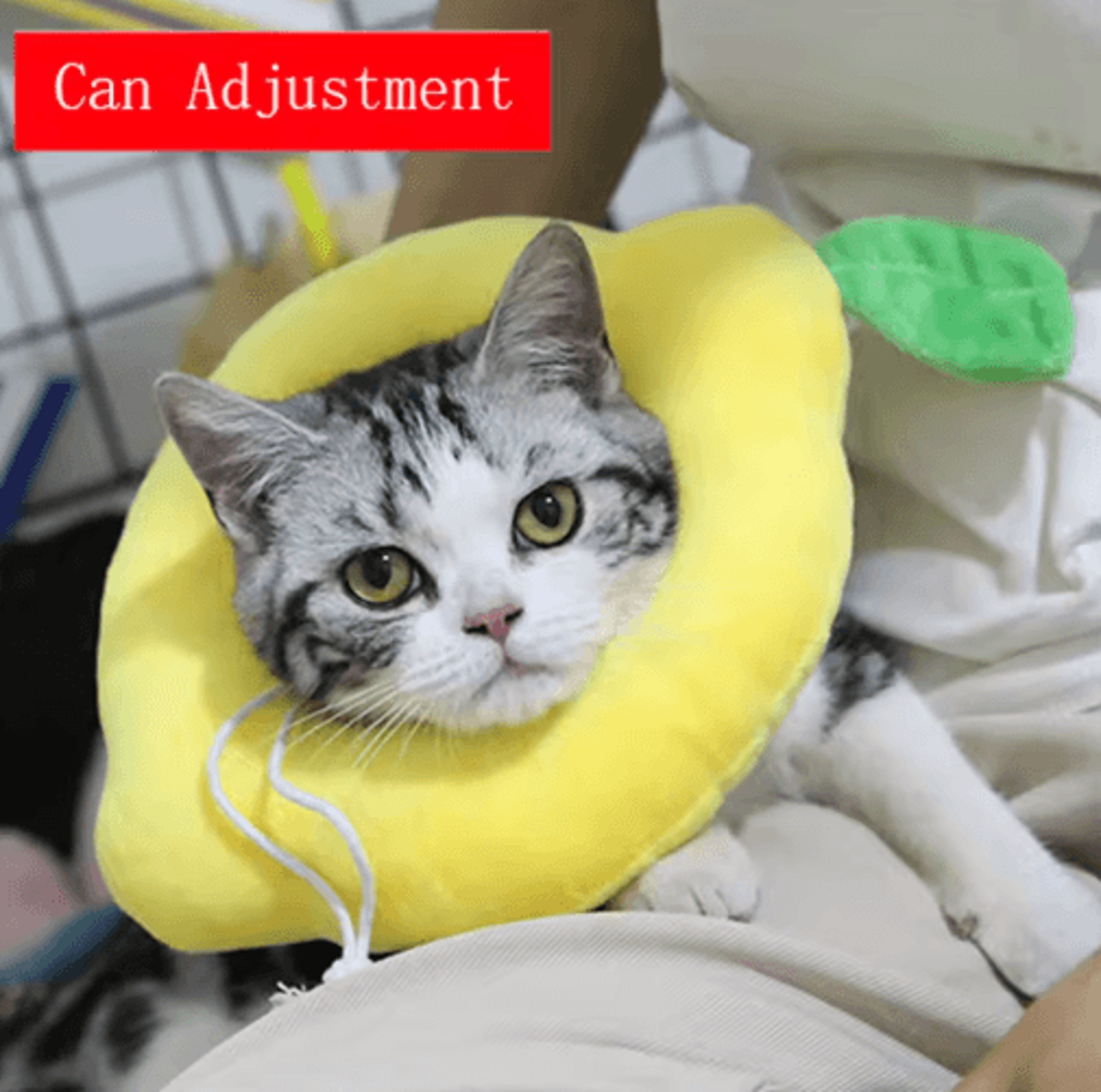 Toast  Avocado Pet Recovery Collar  Soft Adjustable Elizabethan Collar For Cats  Dogs 12