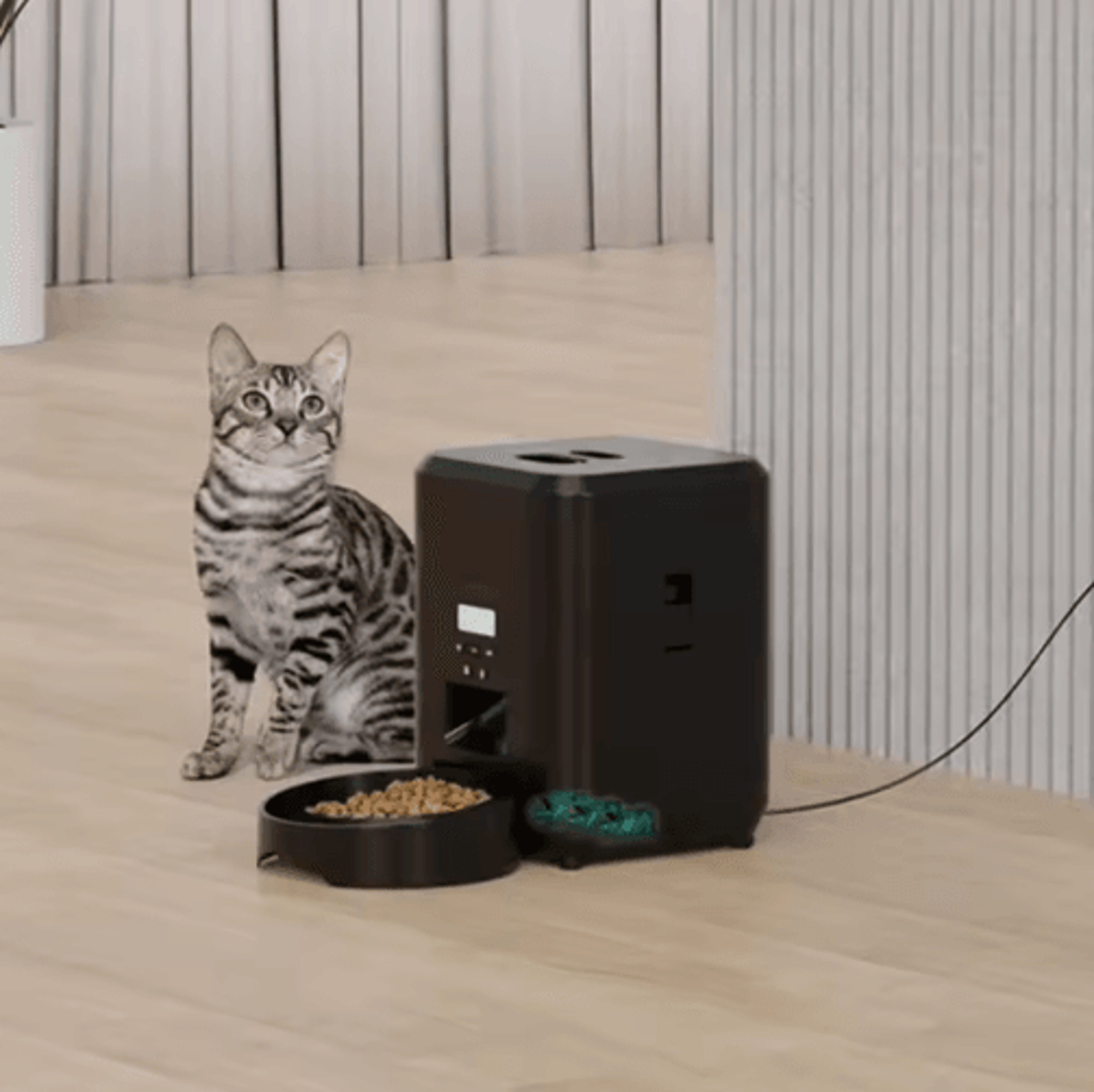 2L Smart Automatic Pet Feeder  USB Timed Food Dispenser For Cats  Dogs 4
