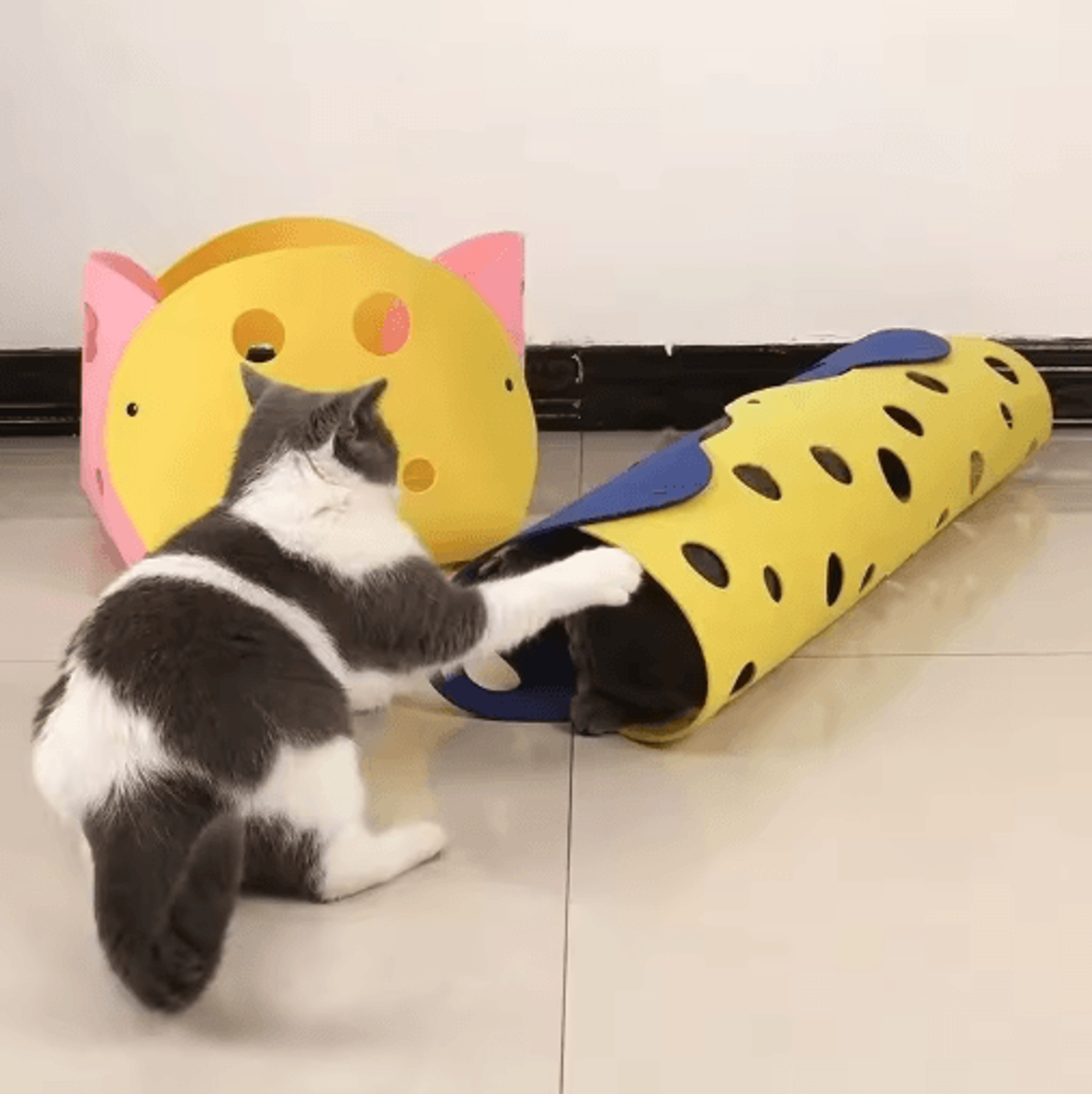 Deformable Felt Cat Tunnel Nest  Collapsible Interactive Play House For Cats 7