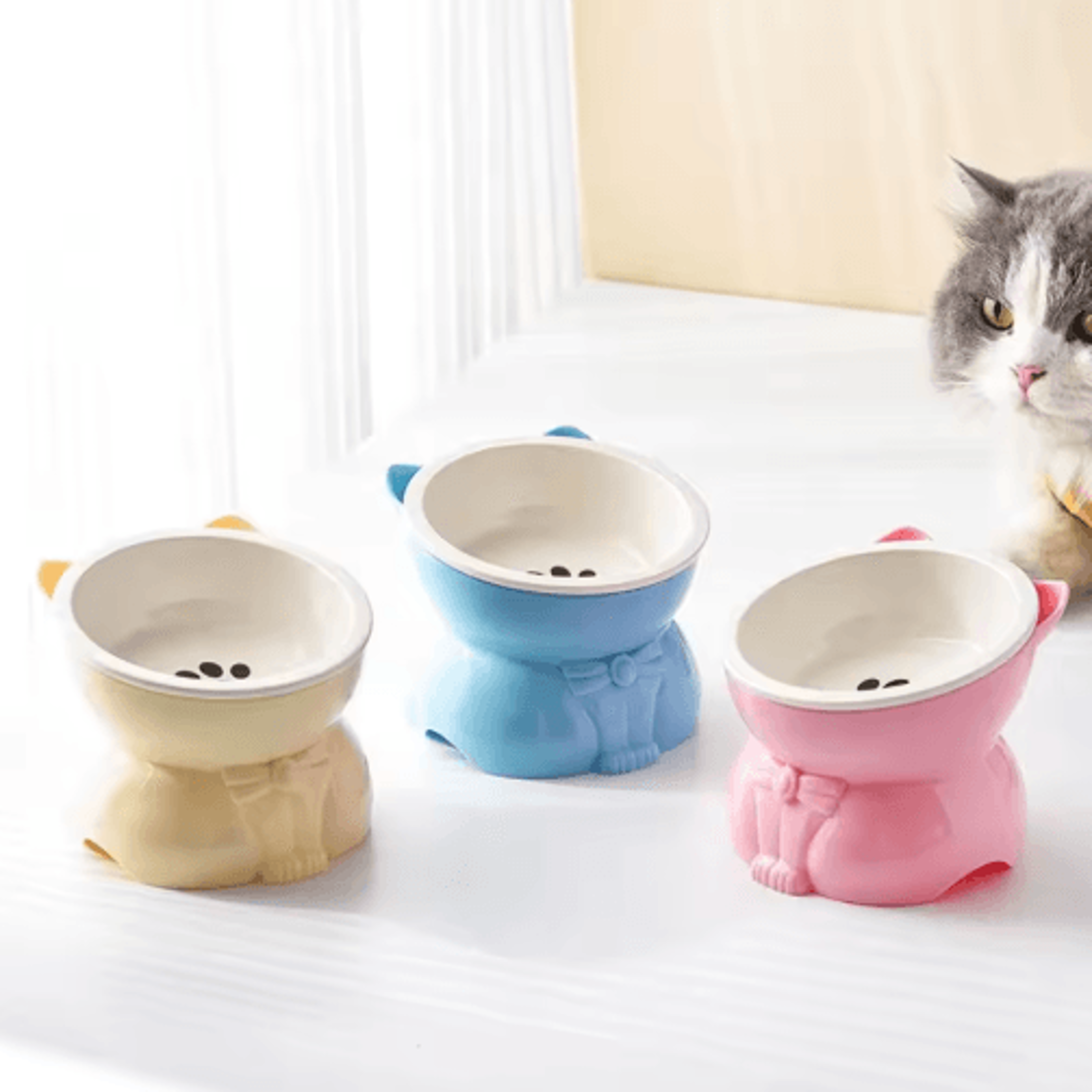 Creative Ceramic Cat Bowl  Elevated Slanted Feeding  Water Bowl For Cats And Small Dogs 7