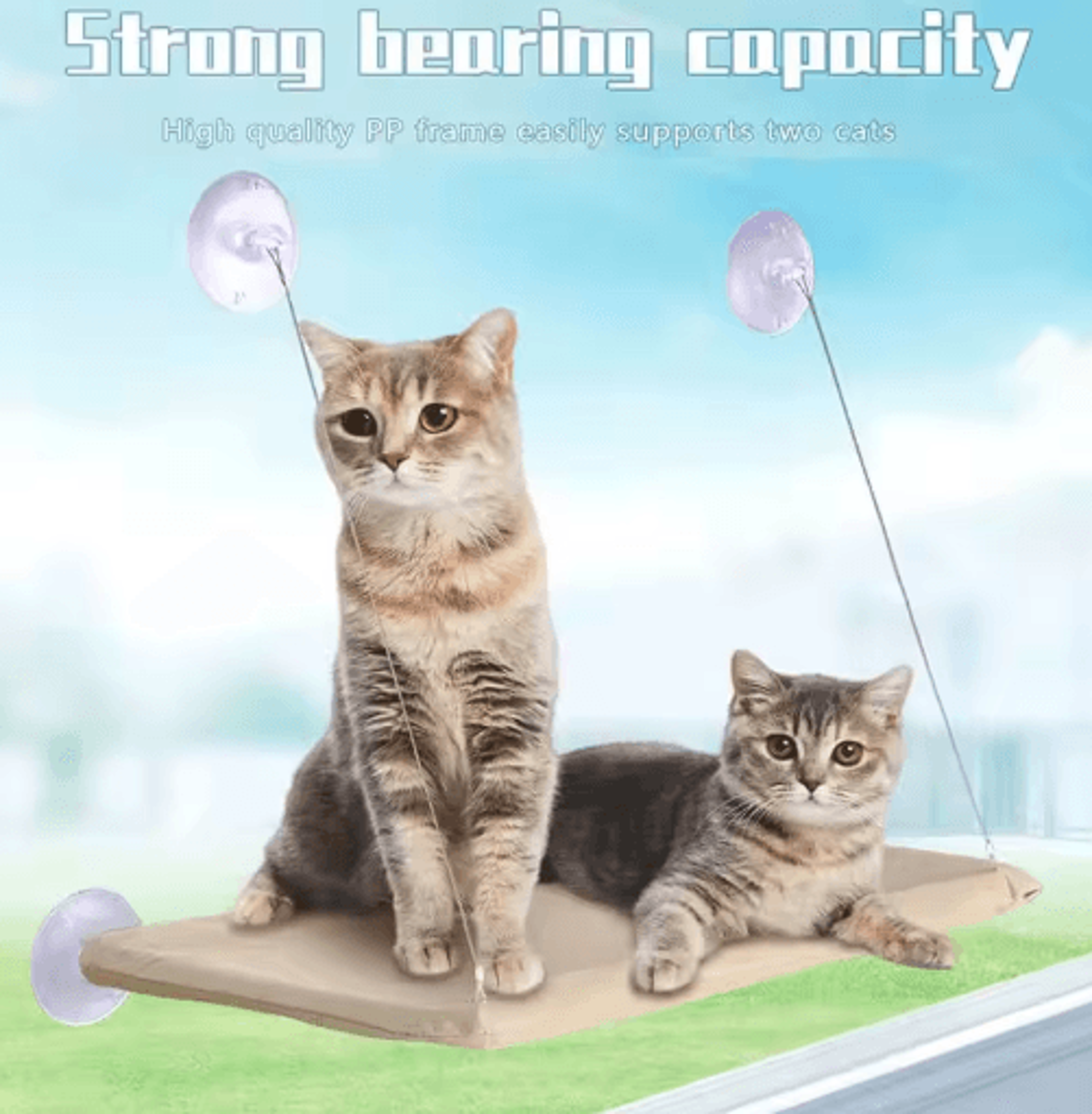 Window Mounted Cat Hammock Bed Cat Window Hammock With Strong Suction Cups For Lounging  Climbing 9