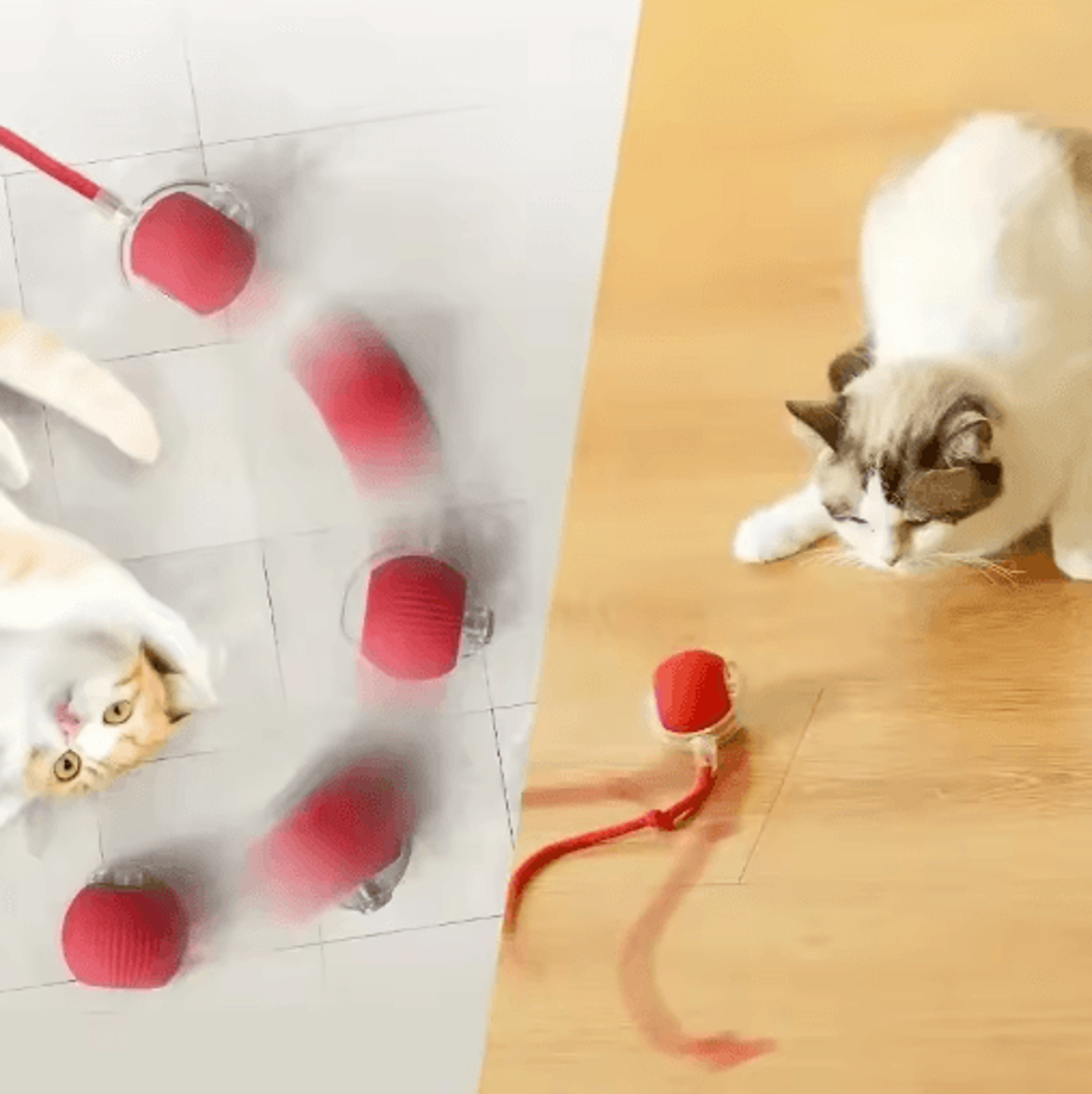 SmartMouse Automatic Rolling Cat Ball With Tail Teaser 7