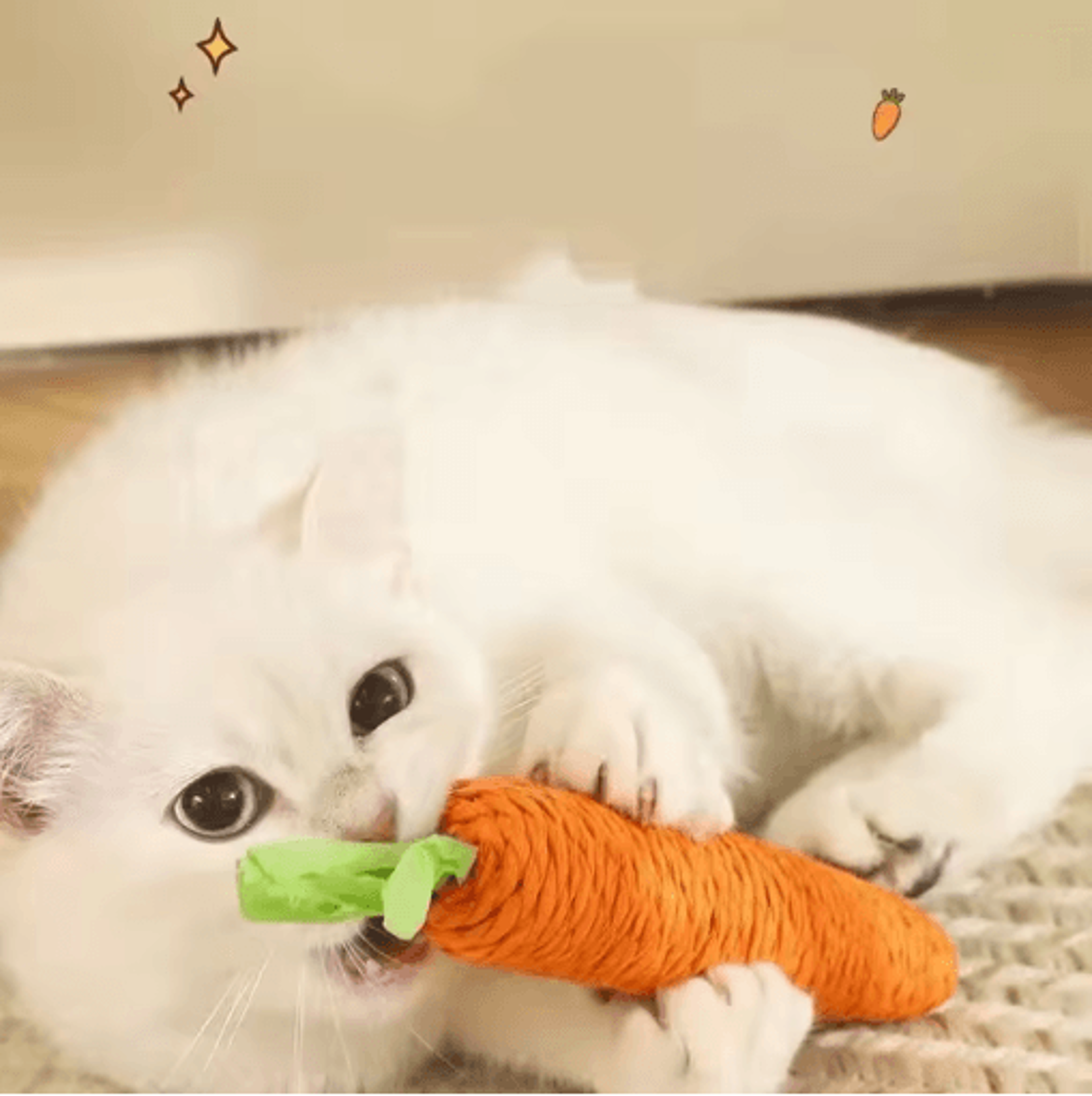 Crunchy Carrot Interactive Cat Teething Toy With Sound  Scratch Fun 6