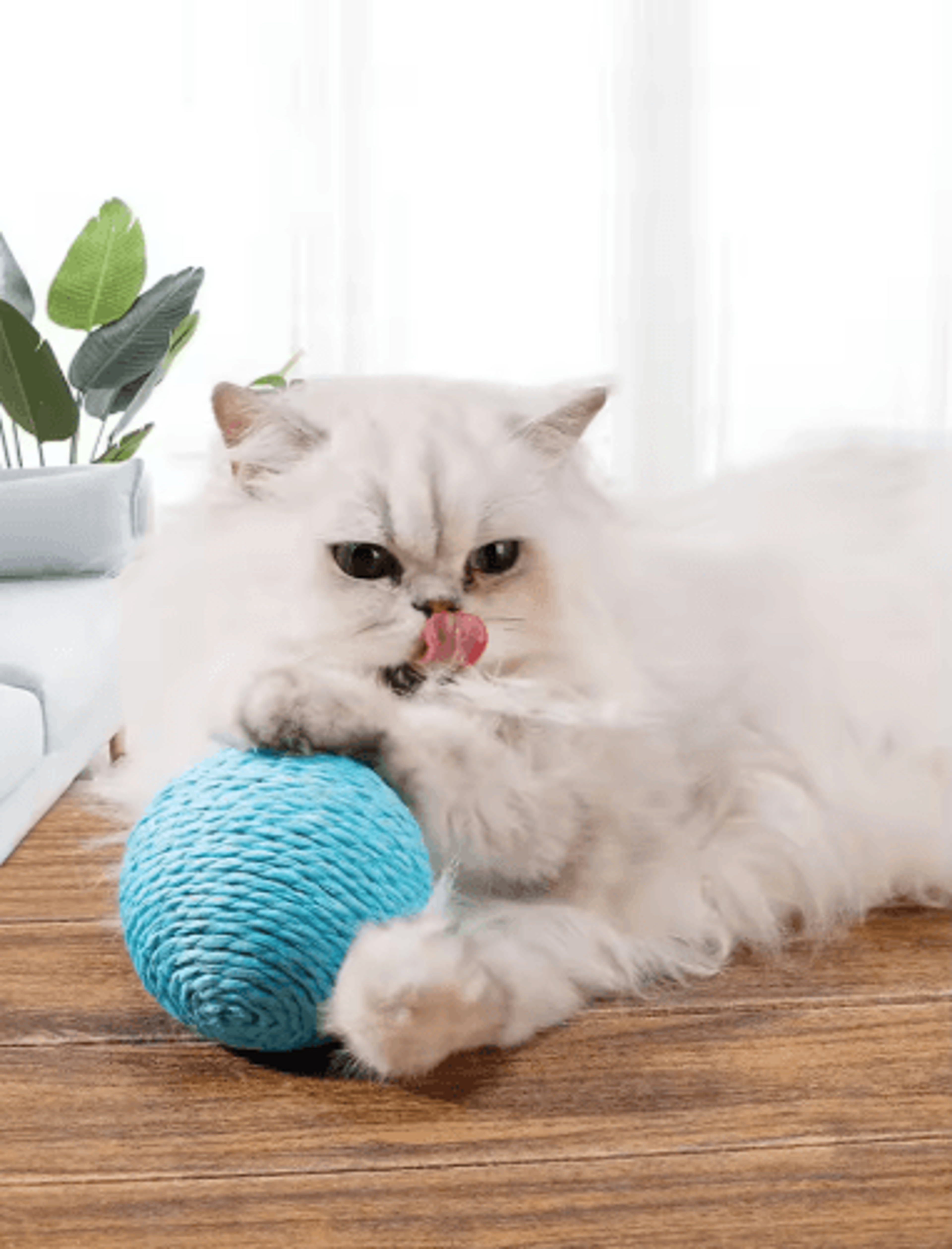 Sisal Sound Interactive Cat Scratching Ball For Play  Dental Care 5