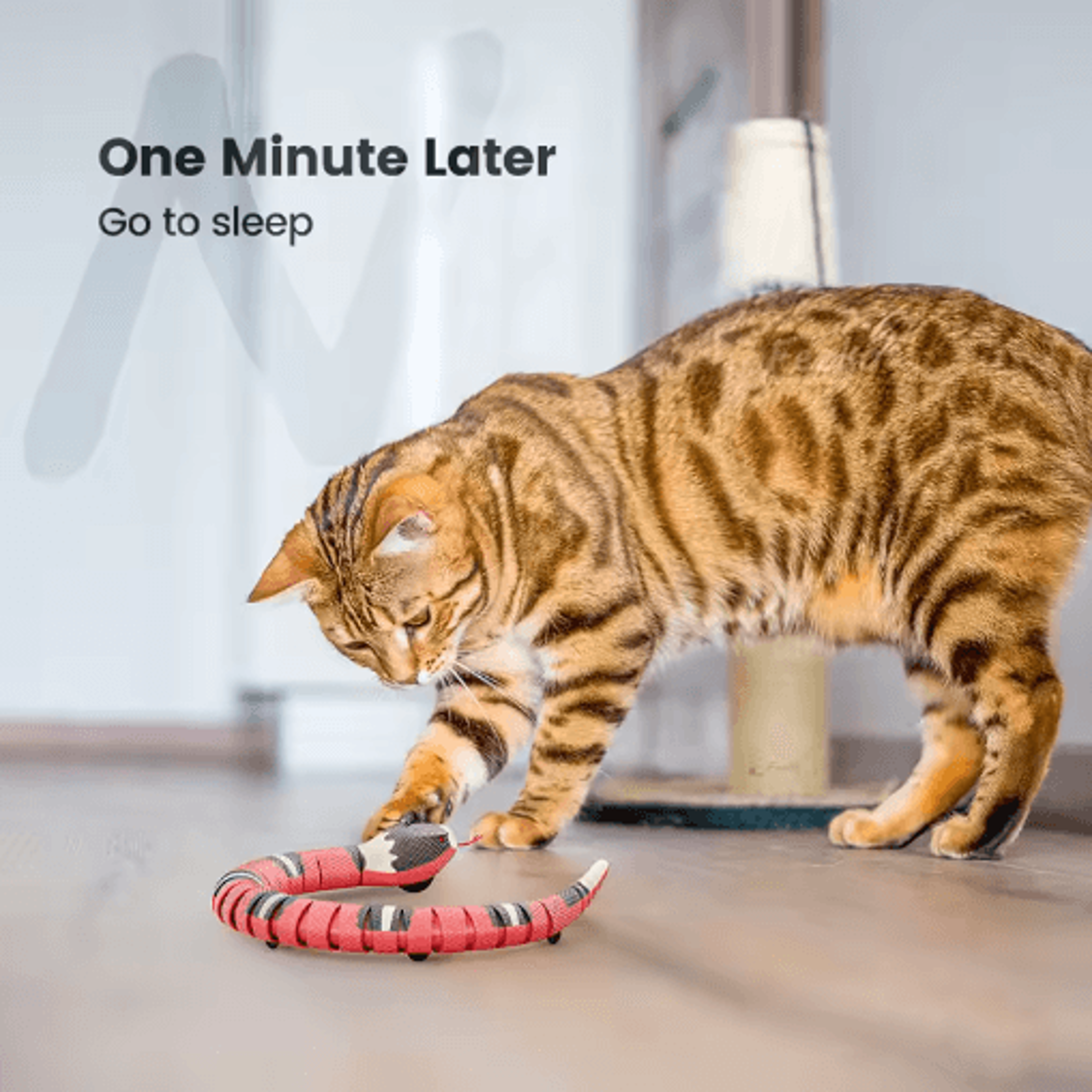 Slither Play Smart Sensing Interactive Snake Toy For Cats 3