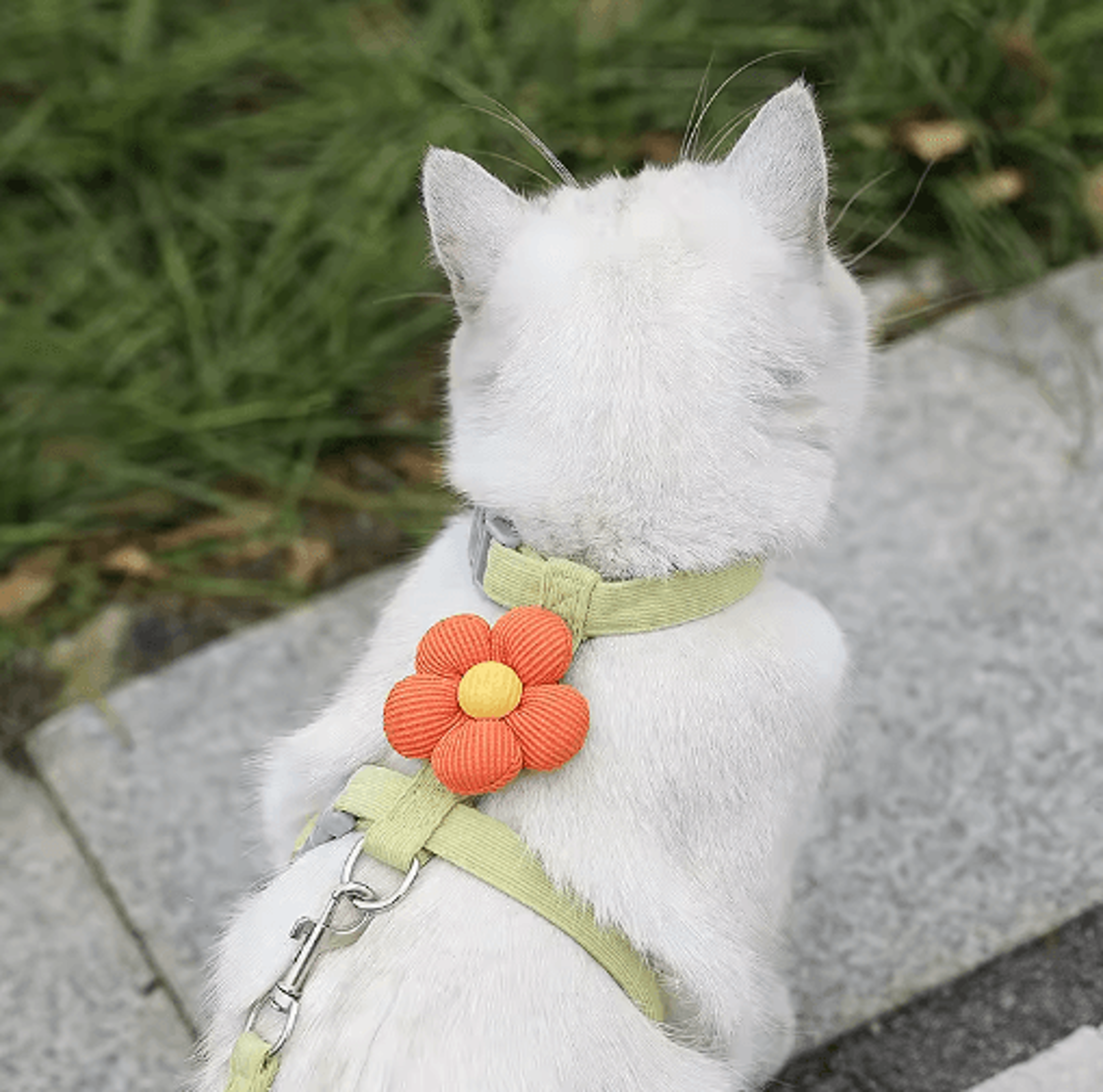 Adjustable Flower Pet Harness And Leash Set For Cats Puppies And Small Dogs 3