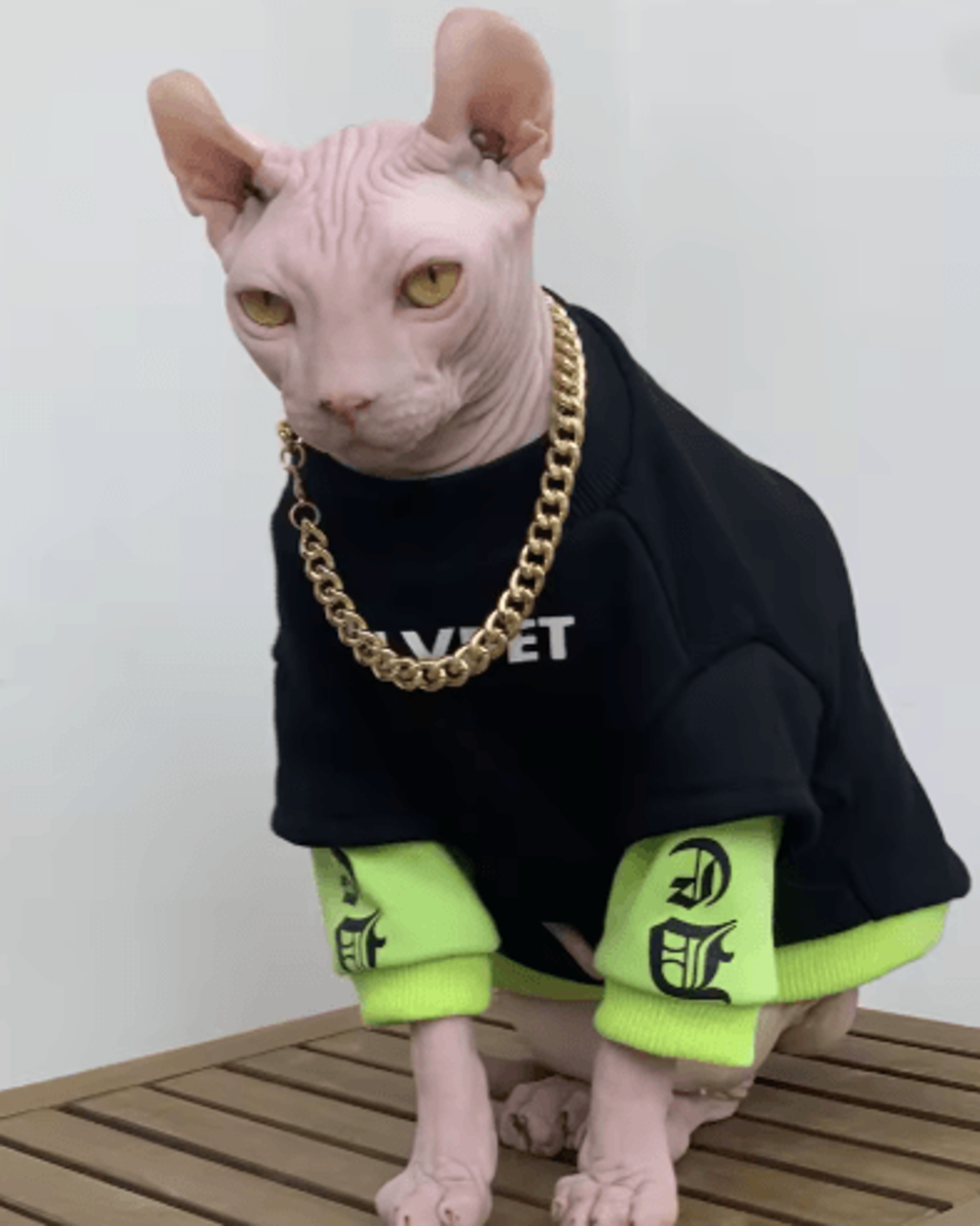 Warm Cotton Sweatshirt For Sphynx Cats And Devon Rex Cats 1