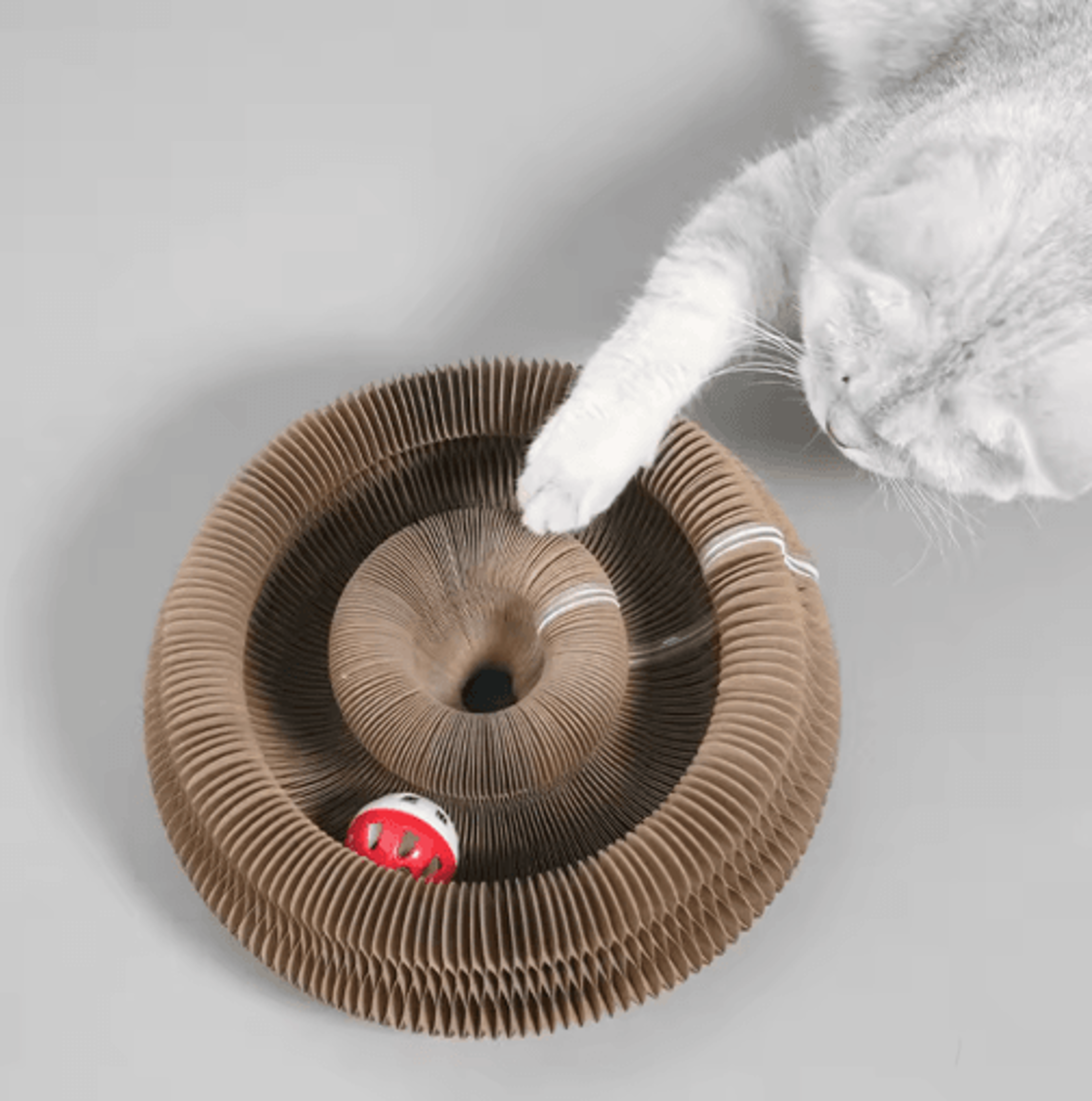 Foldable Magic Organ Cat Scratcher Toy With Corrugated Scratch Board 0