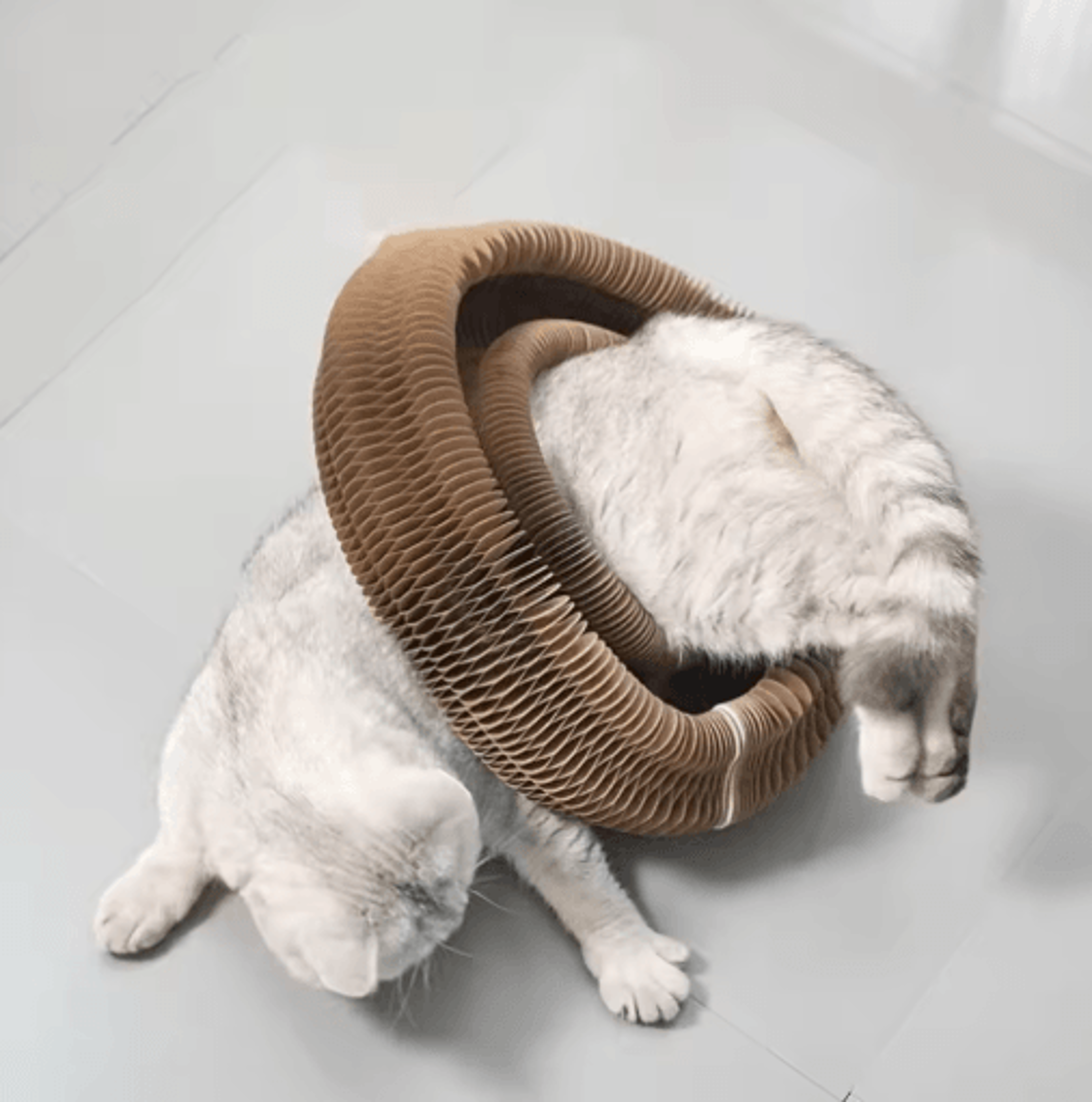 Twistable Cardboard Cat Scratcher Tunnel Interactive Play  Scratch Toy For Indoor Cats 4