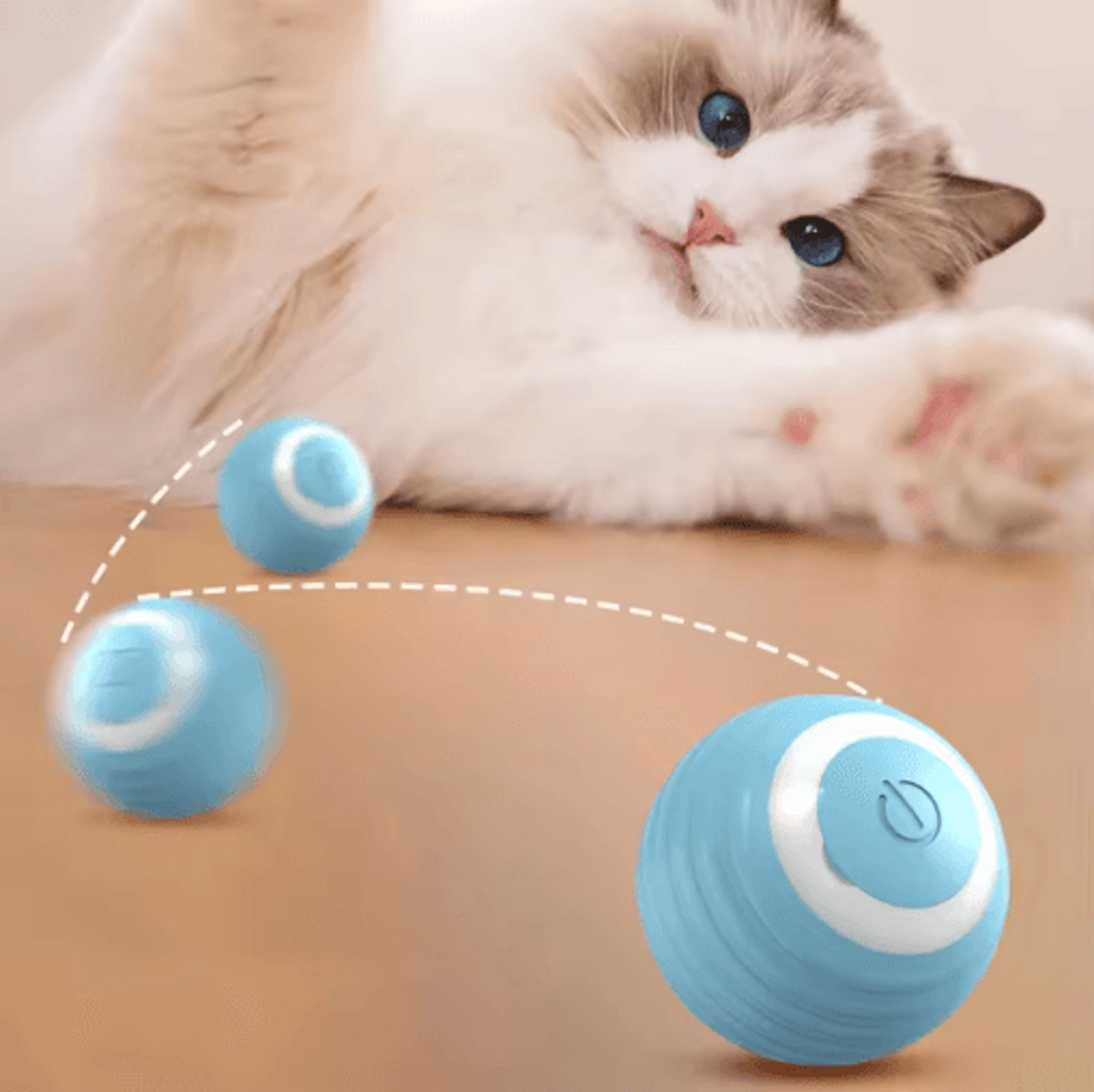 Rechargeable Rolling Electric Cat Ball  Interactive Smart Toy For Indoor Cats 4