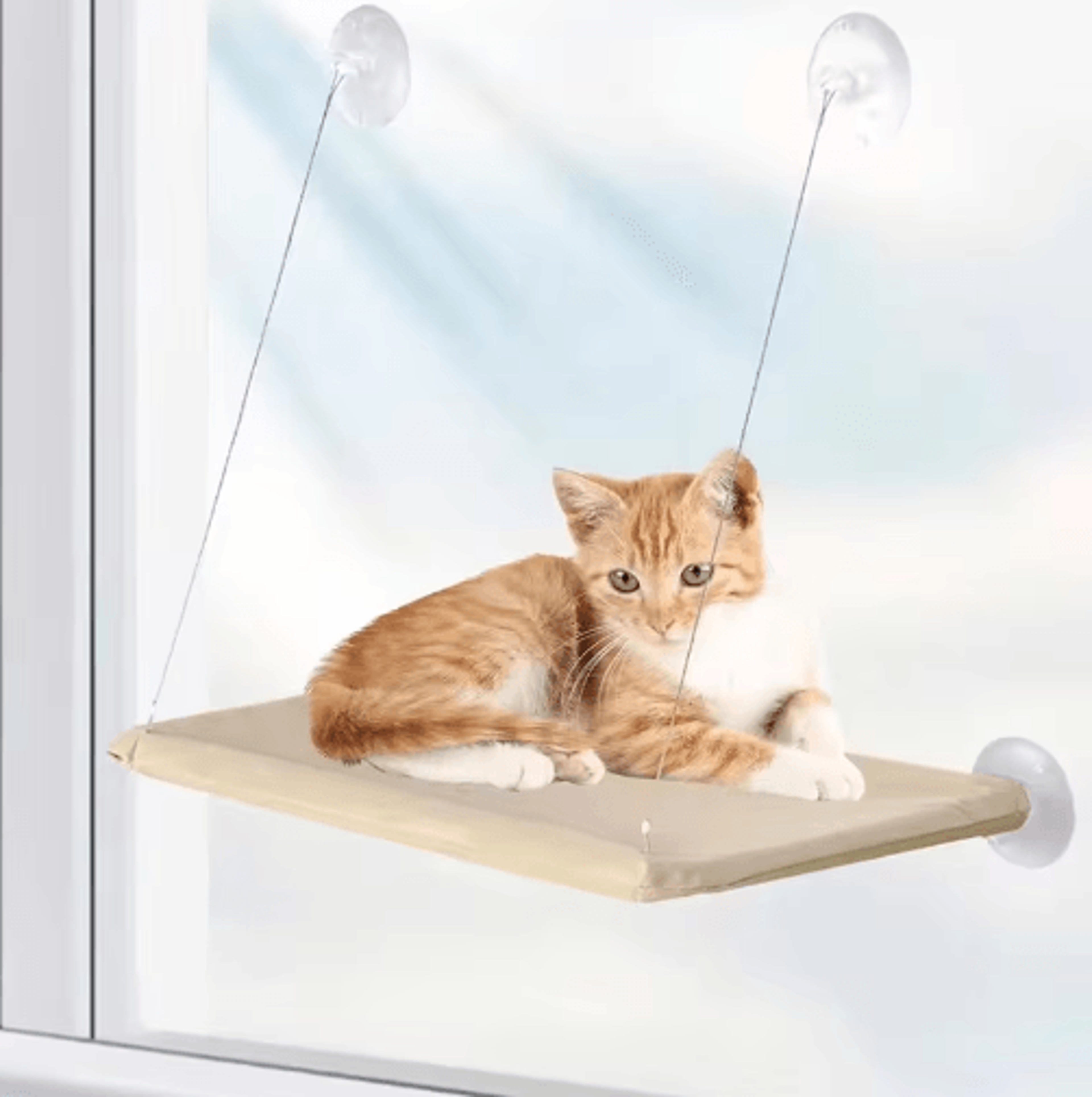 Ultra Soft Cat Window Hammock Bed  SpaceSaving Window Perch For Cozy Feline Nap 10