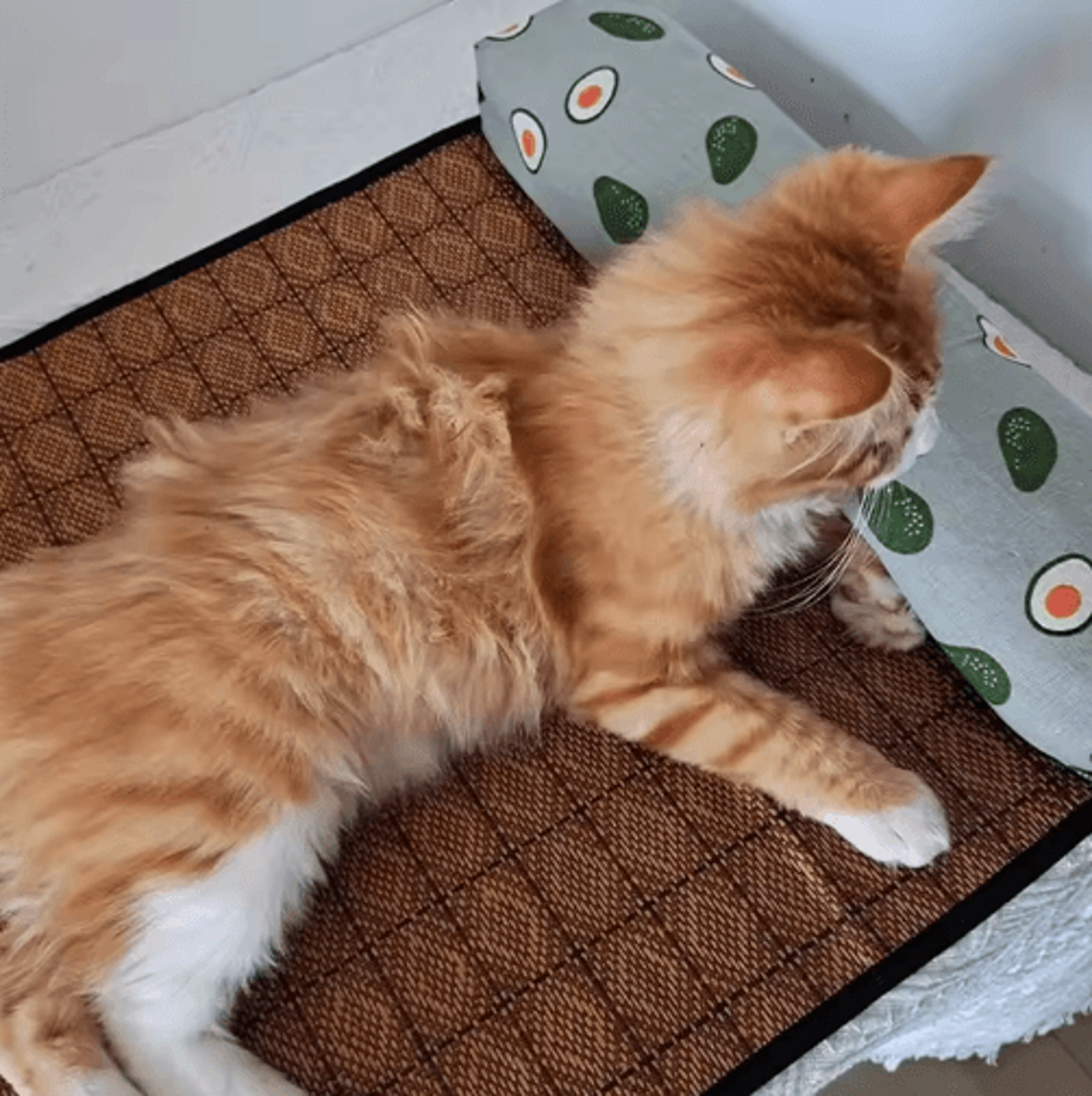 Natural Rattan Cooling Pet Mat SelfCooling Summer Bed For Cats And Small Dogs 14