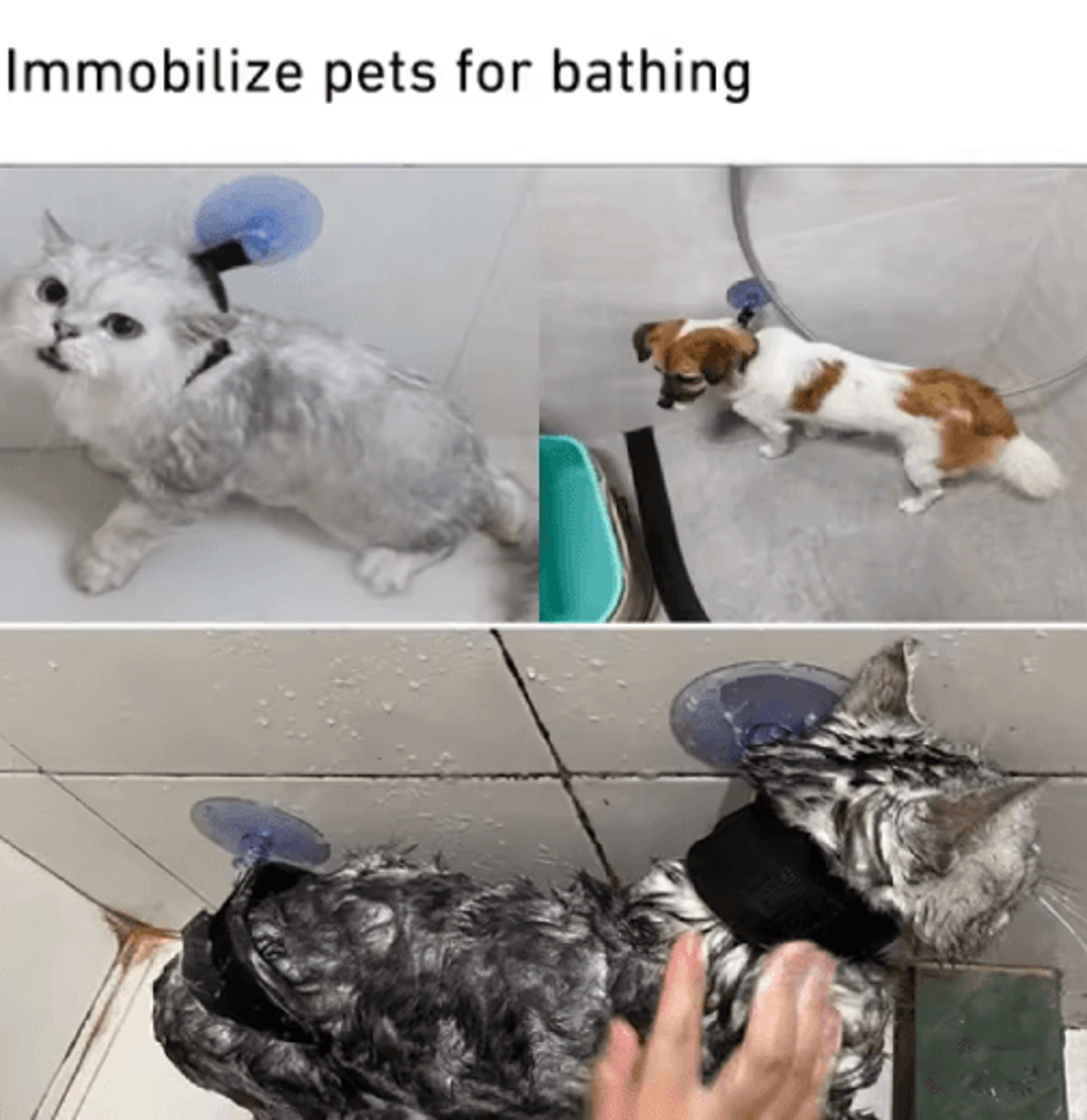 Pet Shower Restraint Collar HandsFree Bathing  Grooming Support For Cats And Small Dogs 5