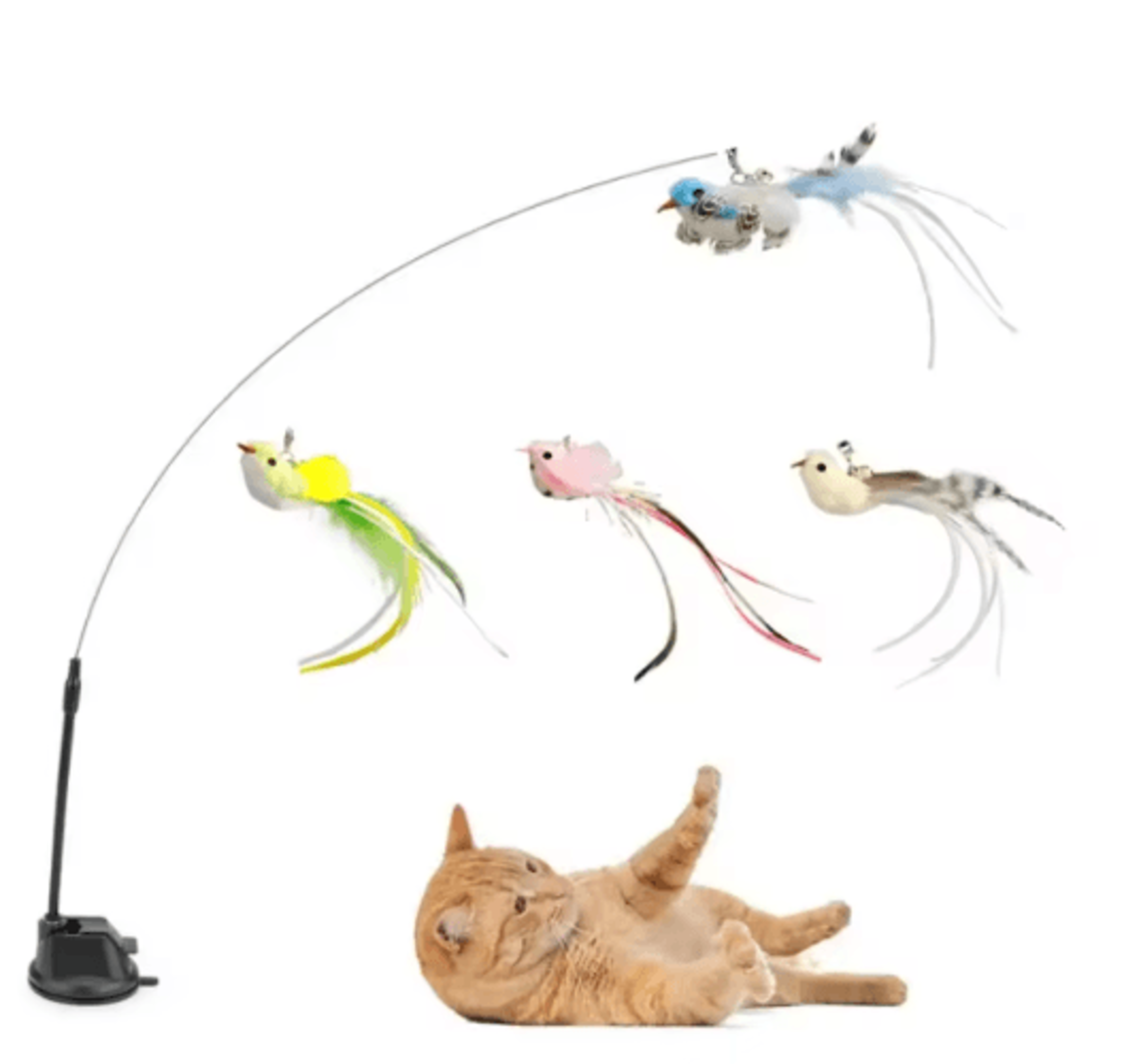Feather Bird Cat Teaser Refill Interactive Suction Cup Wand Replacement Toy For Cats 0