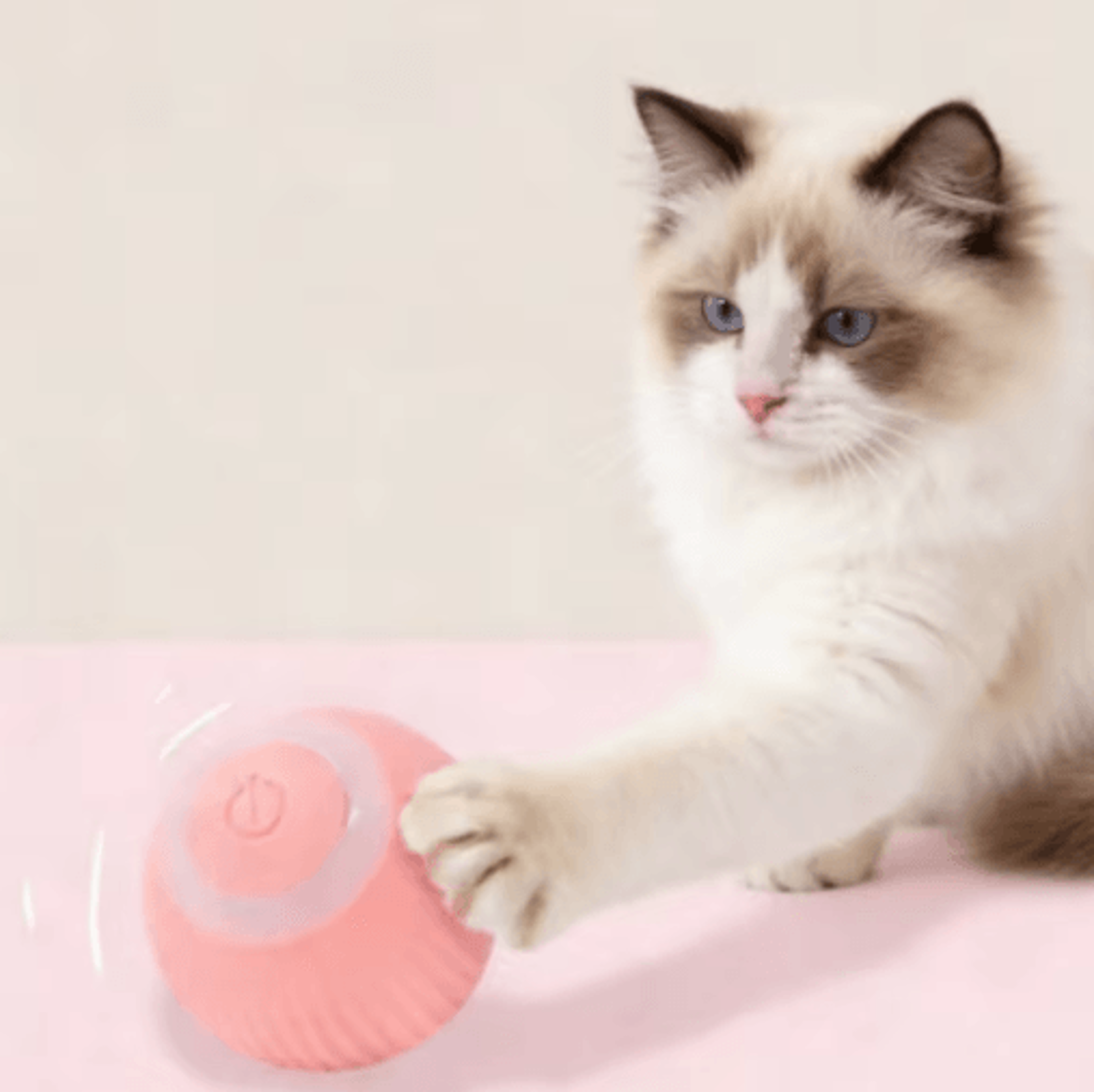 SmartRoll Interactive Cat Ball Automatic SelfMoving Cat Toy For Indoor Cats  Kittens 0