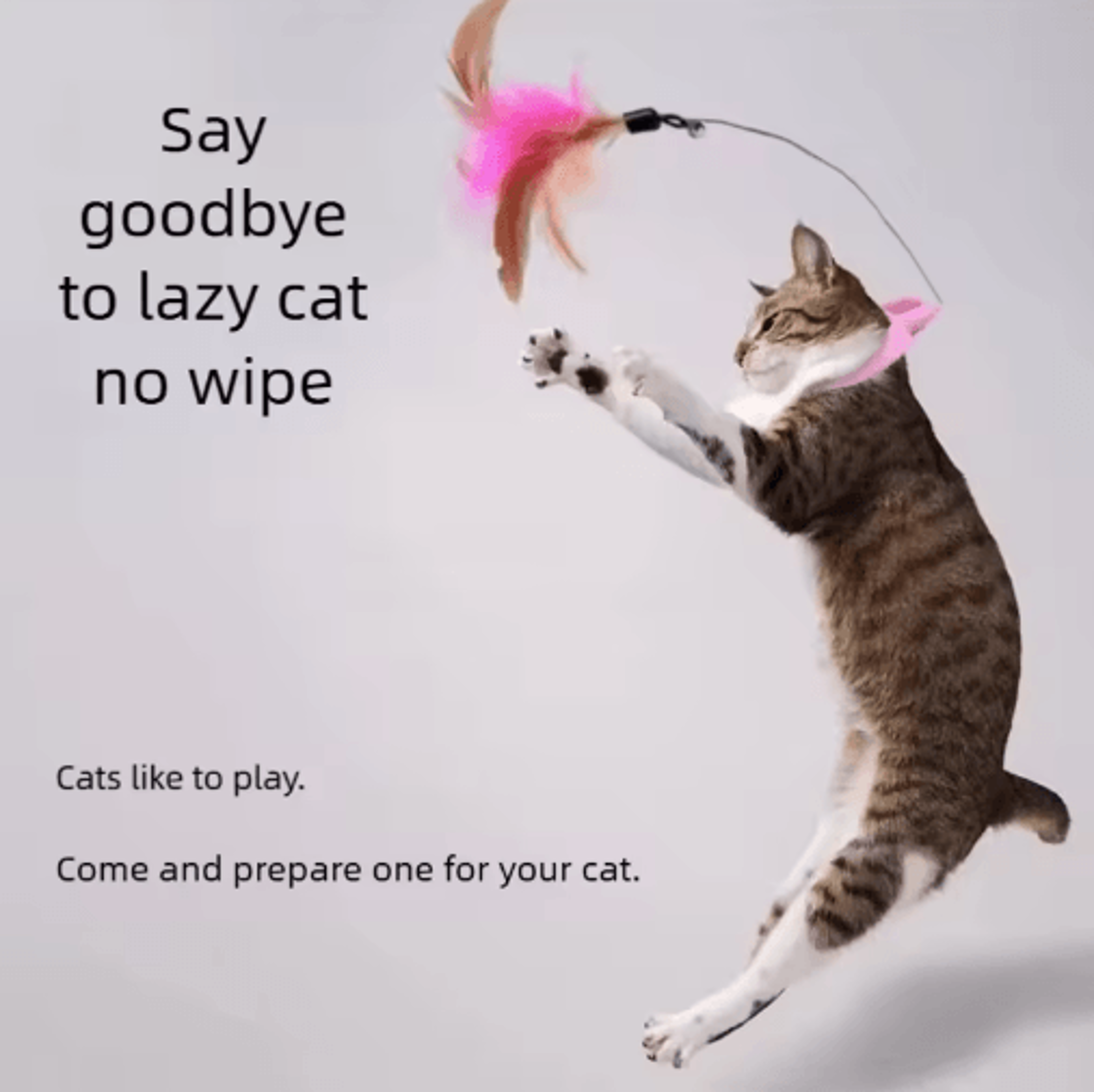 Feather Ring Self Play Cat Collar Toy Interactive Feather  Bell Neck Teaser For Cats 0