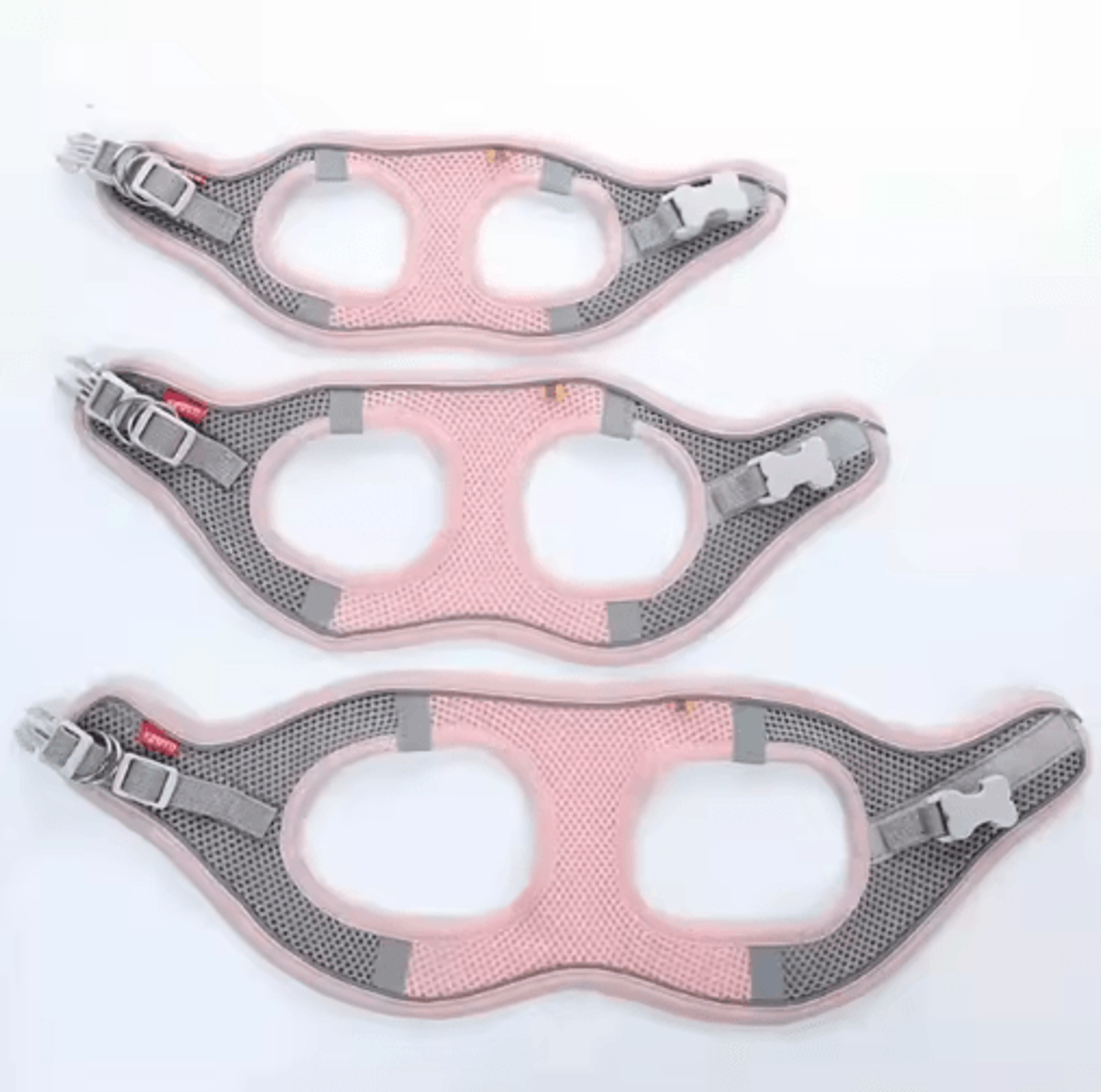 ReflectaFit Pet Harness  Leash Set  Breathable Reflective Vest Harness For Cats  Small Dogs 6
