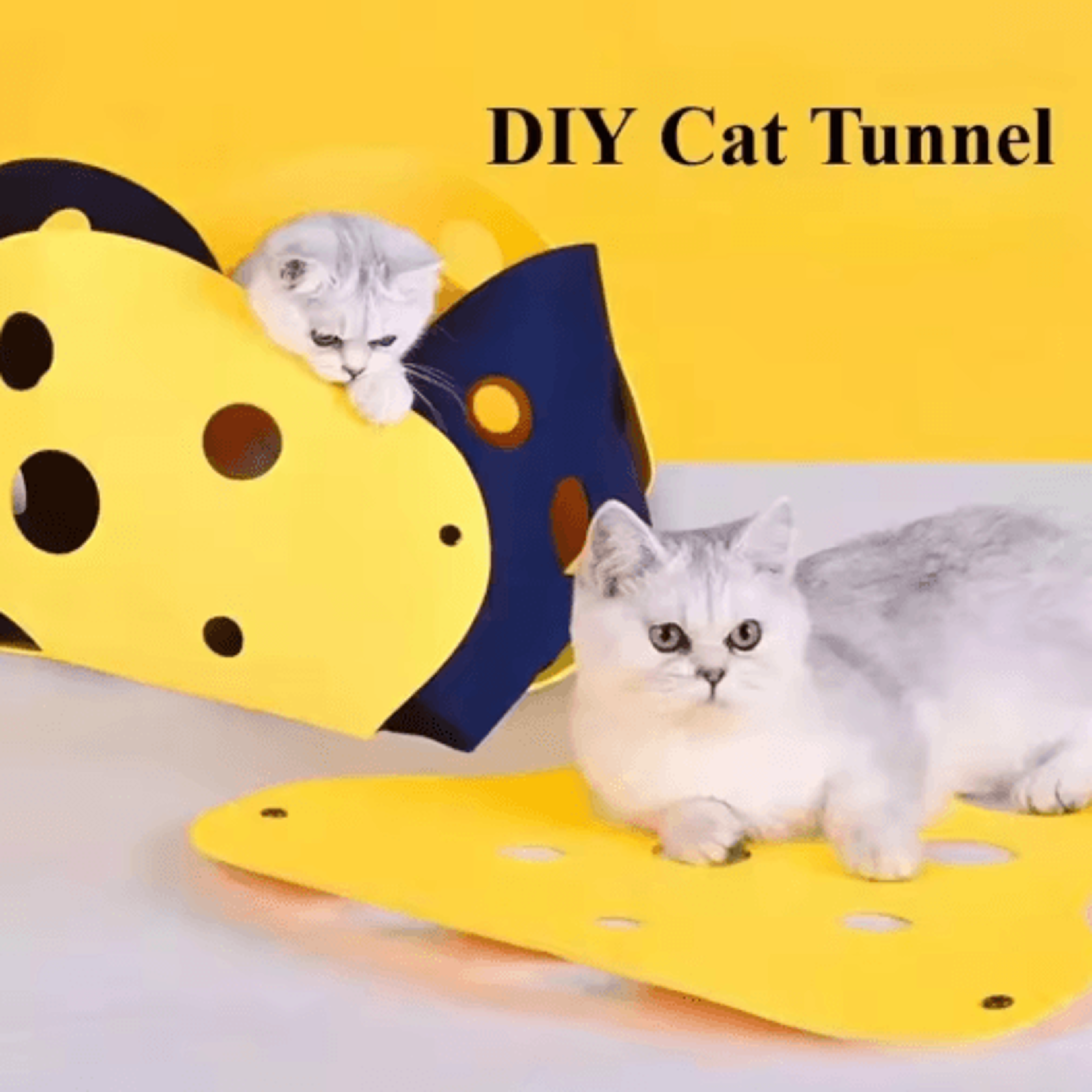 CozyTunnel Cat Play Bed  Foldable Interactive Tunnel  Activity Mat For Indoor Cats 3