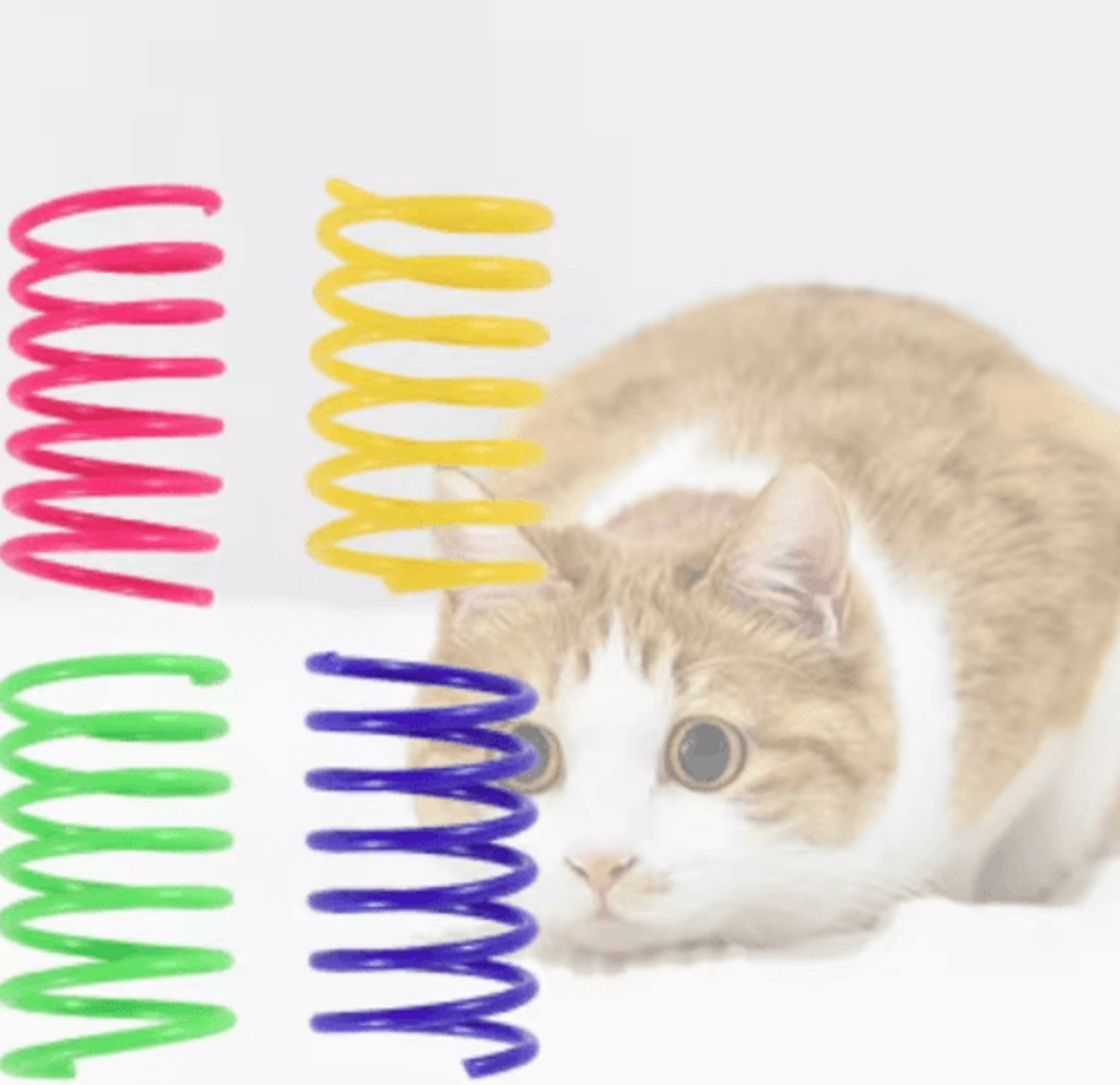Spring Bounce Colorful Interactive Cat Spring Toy Set 10