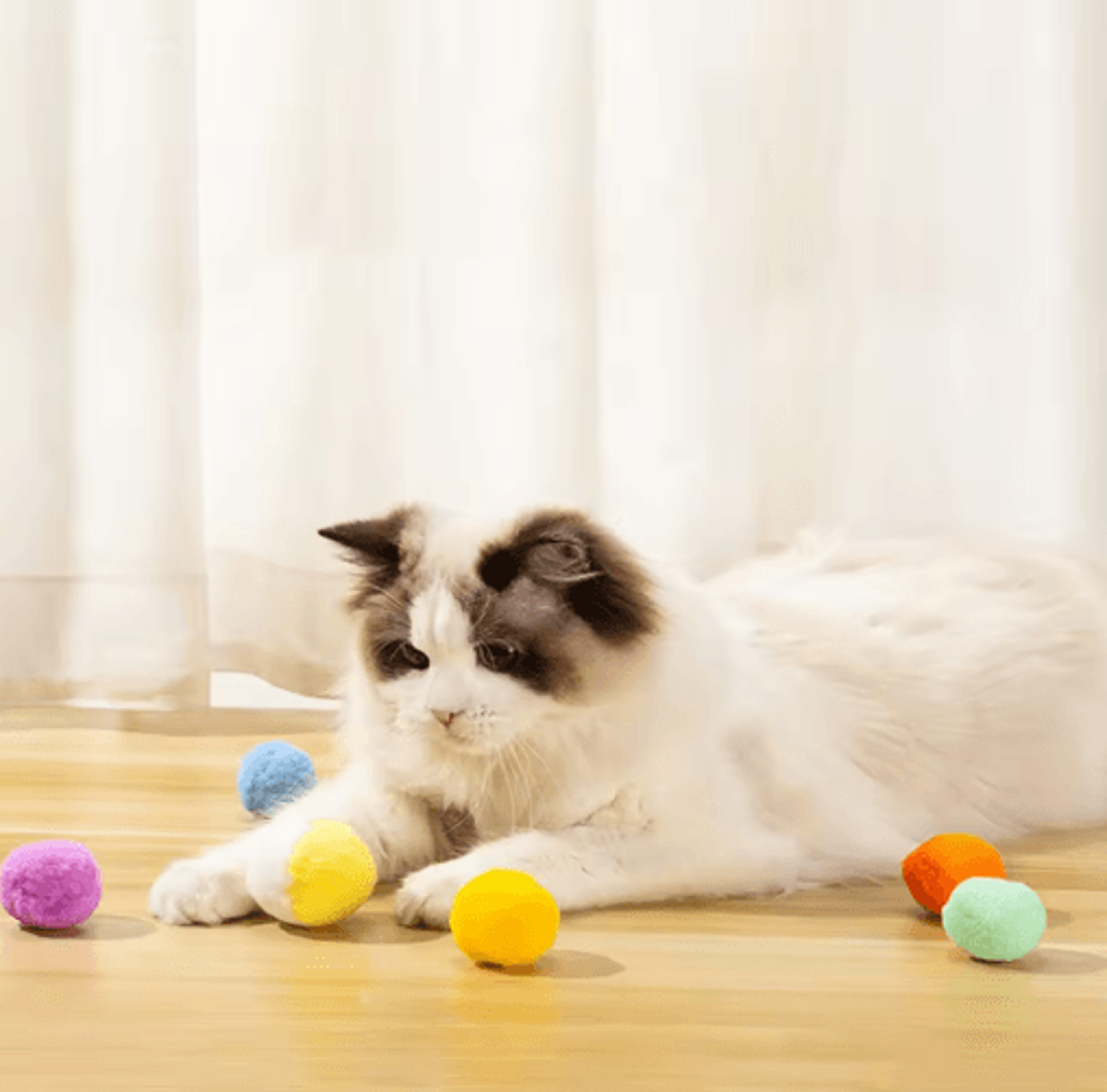 FluffyPounce Soft Pom Pom Cat Toy Balls For Interactive Play 3