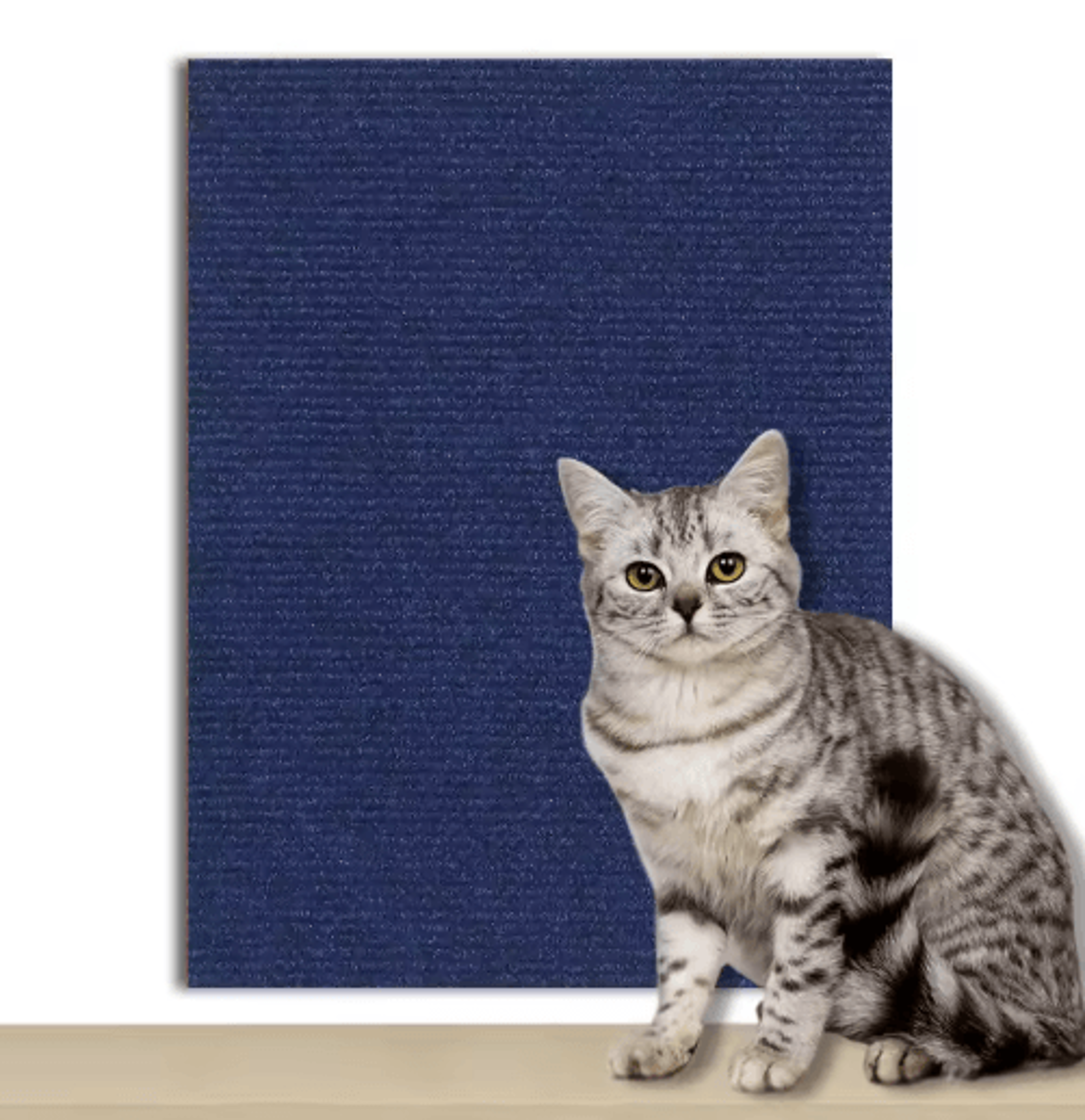 Scratch Guard SelfAdhesive Cat Scratching Carpet Protector 2