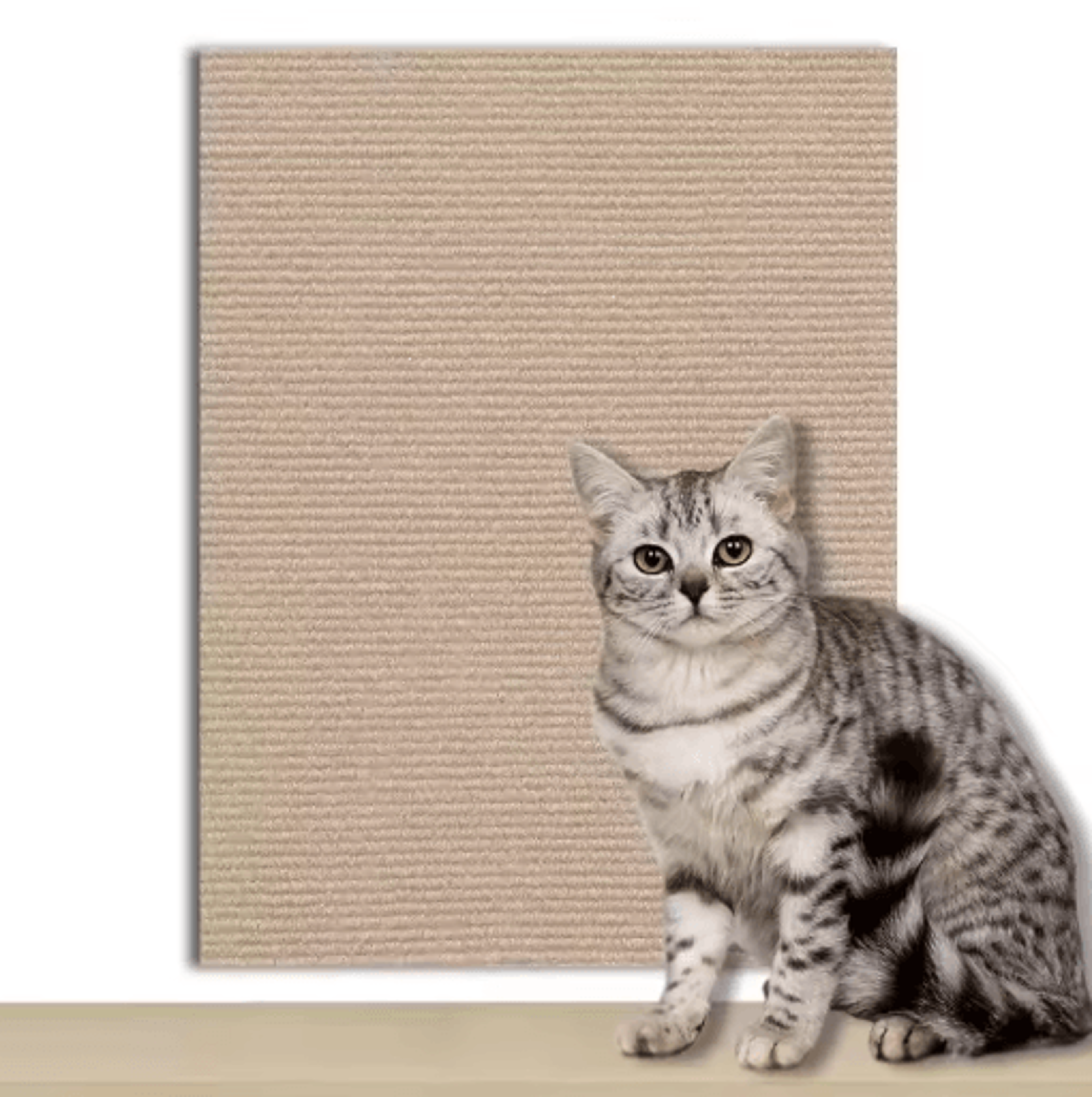Scratch Guard SelfAdhesive Cat Scratching Carpet Protector 8