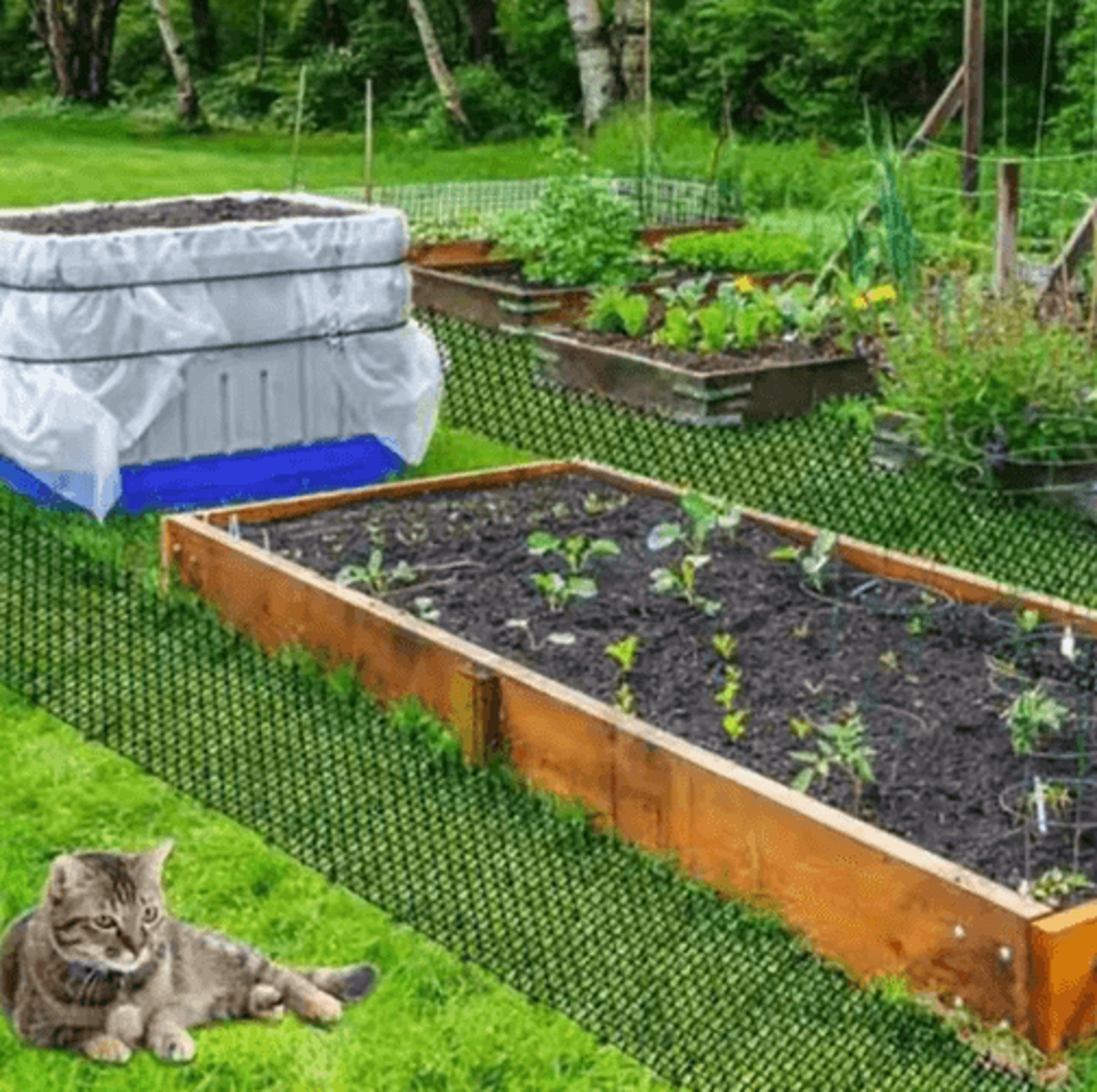Garden Cat Scat Mat Spike Deterrent For Pets And Garden Protection 3