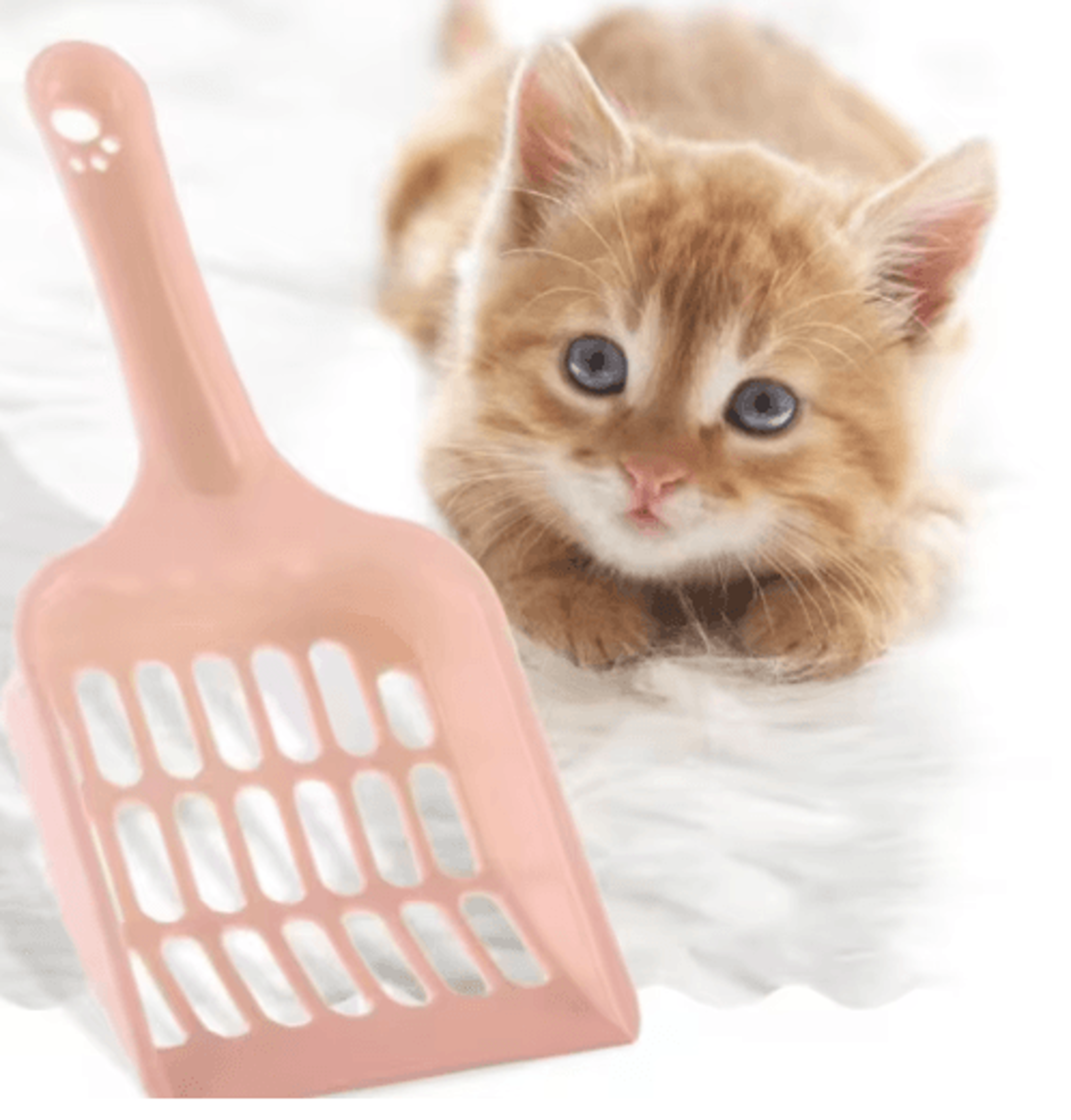 Candy Color Cat Litter Scoop With Comfortable Horizontal Handle 14