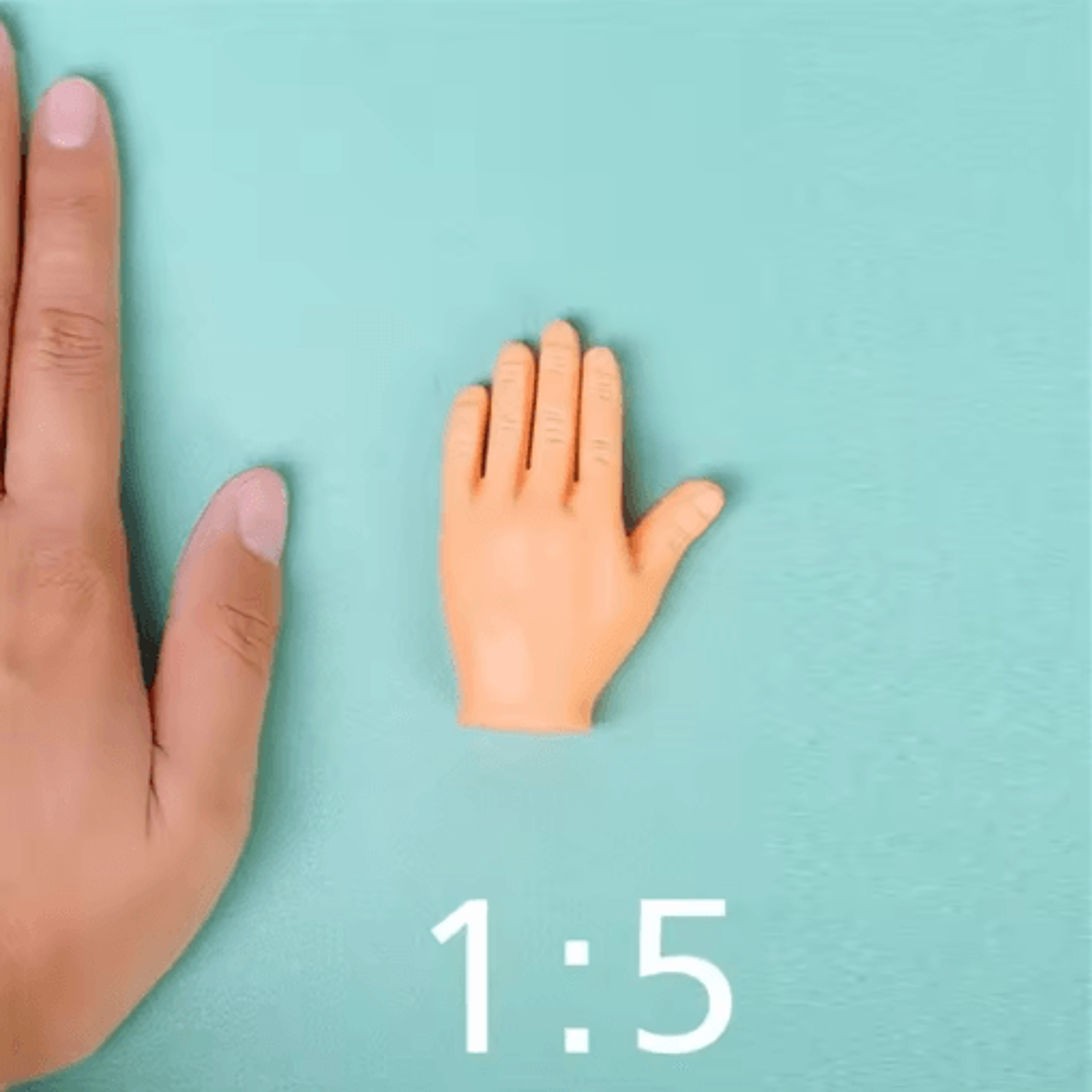 Mini Silicone Finger Gloves Cat Massage Toy For Interactive Play  Fun Bonding 3