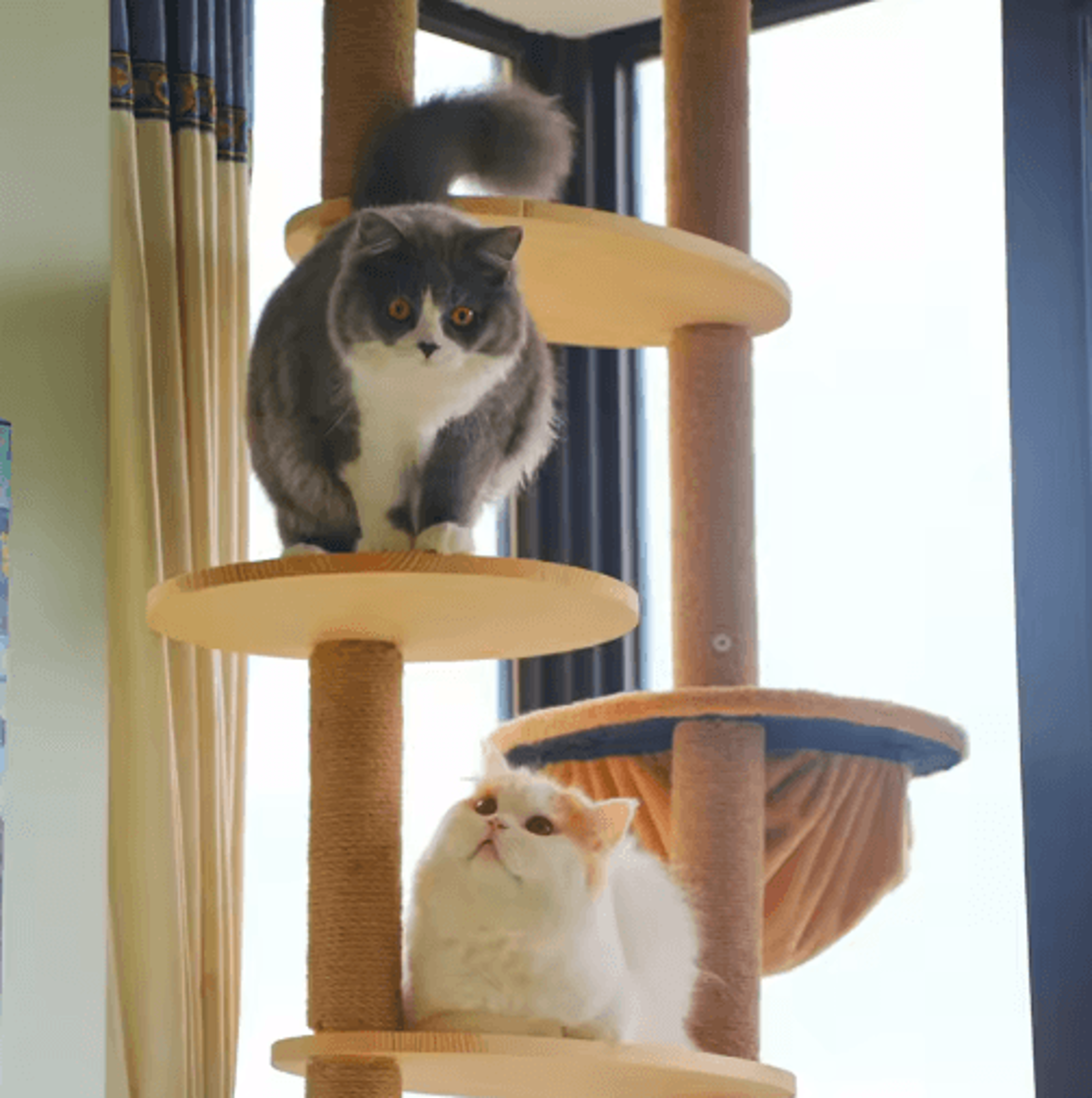 DIY PVC Cat Scratching Post Replacement With Natural Sisal Rope 14