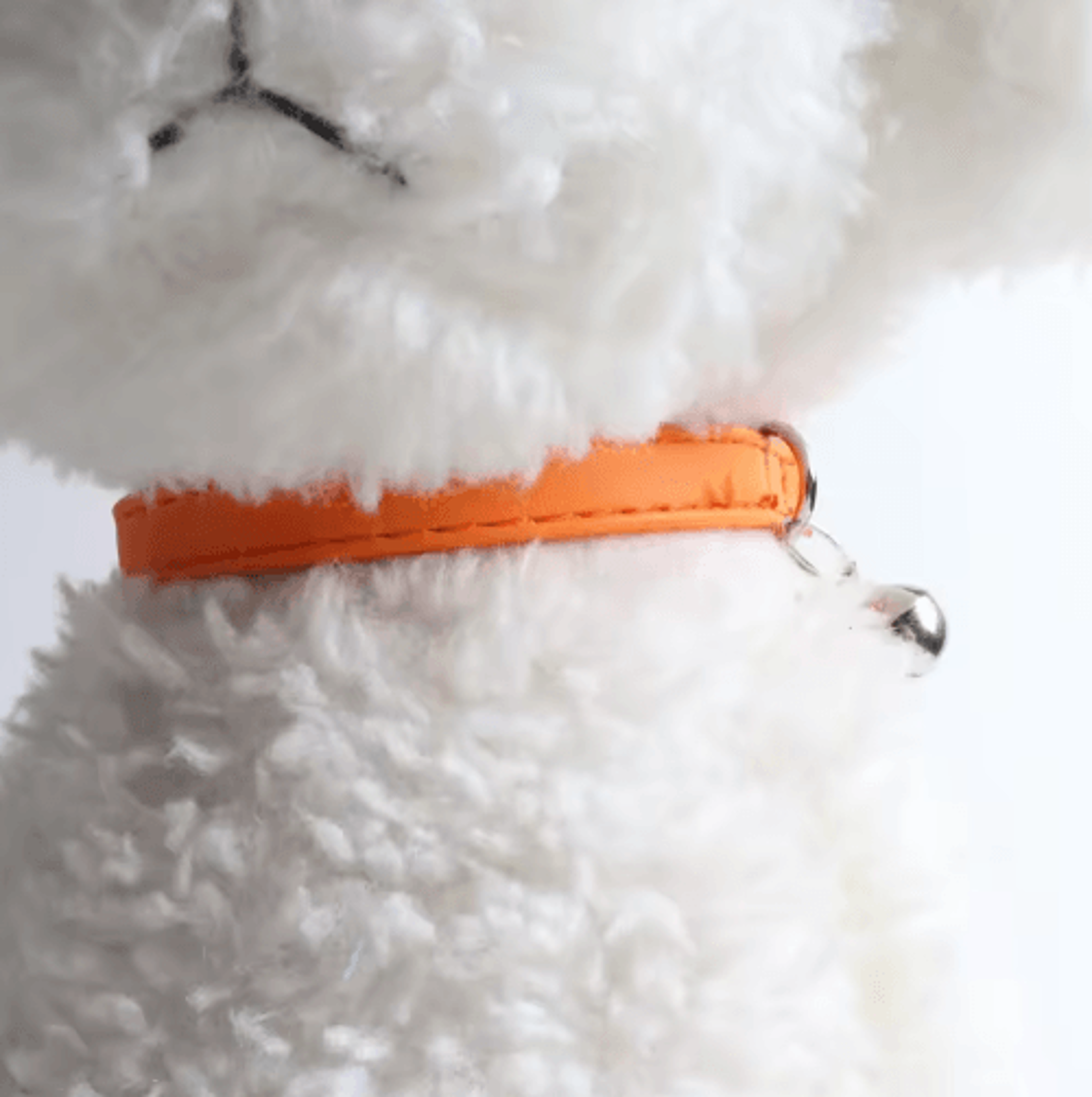 Macaron Color Adjustable Cat Collar With Bell For Cats  Puppies 9