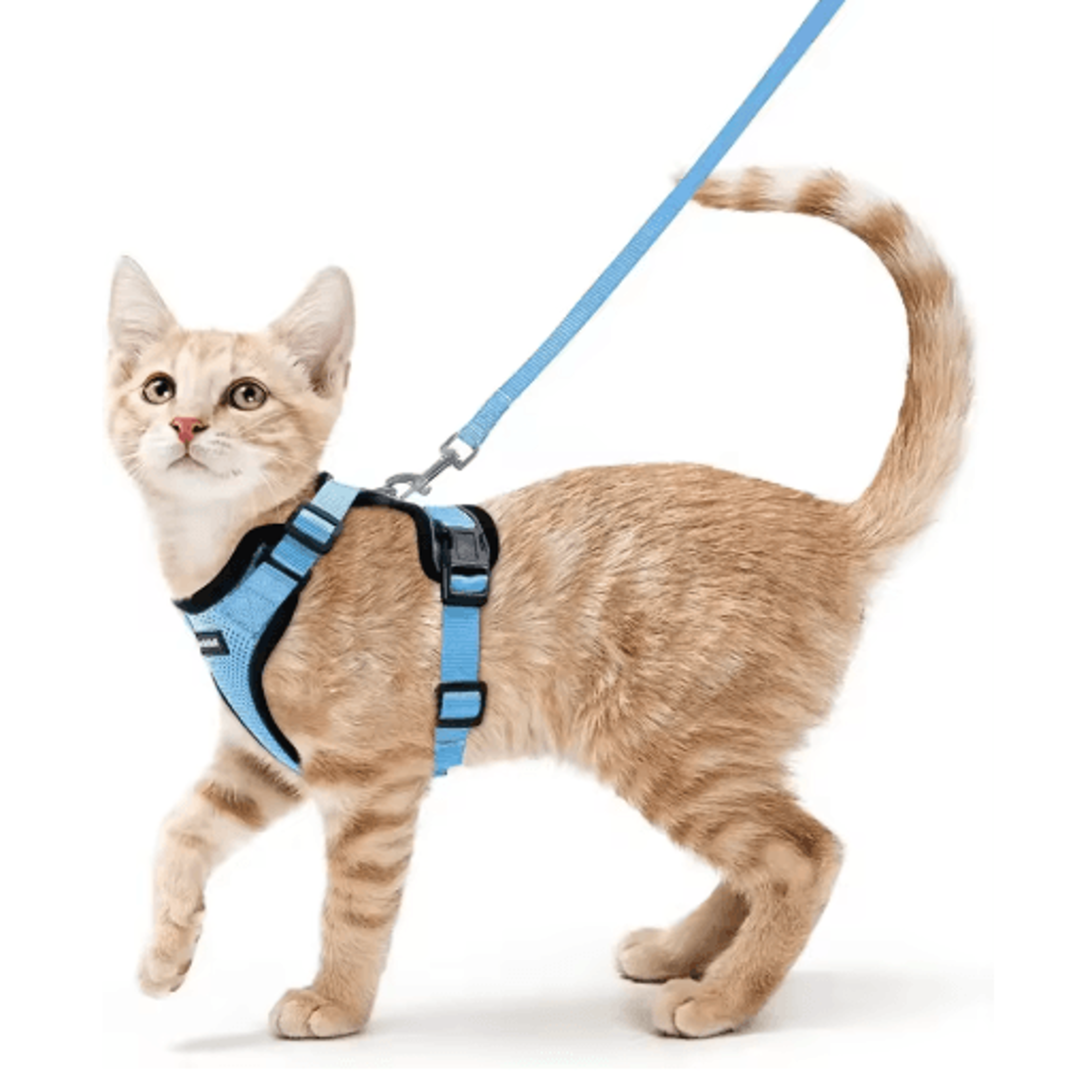 Escape Proof Cat Harness And Leash Set  Adjustable Reflective Walking Vest 1