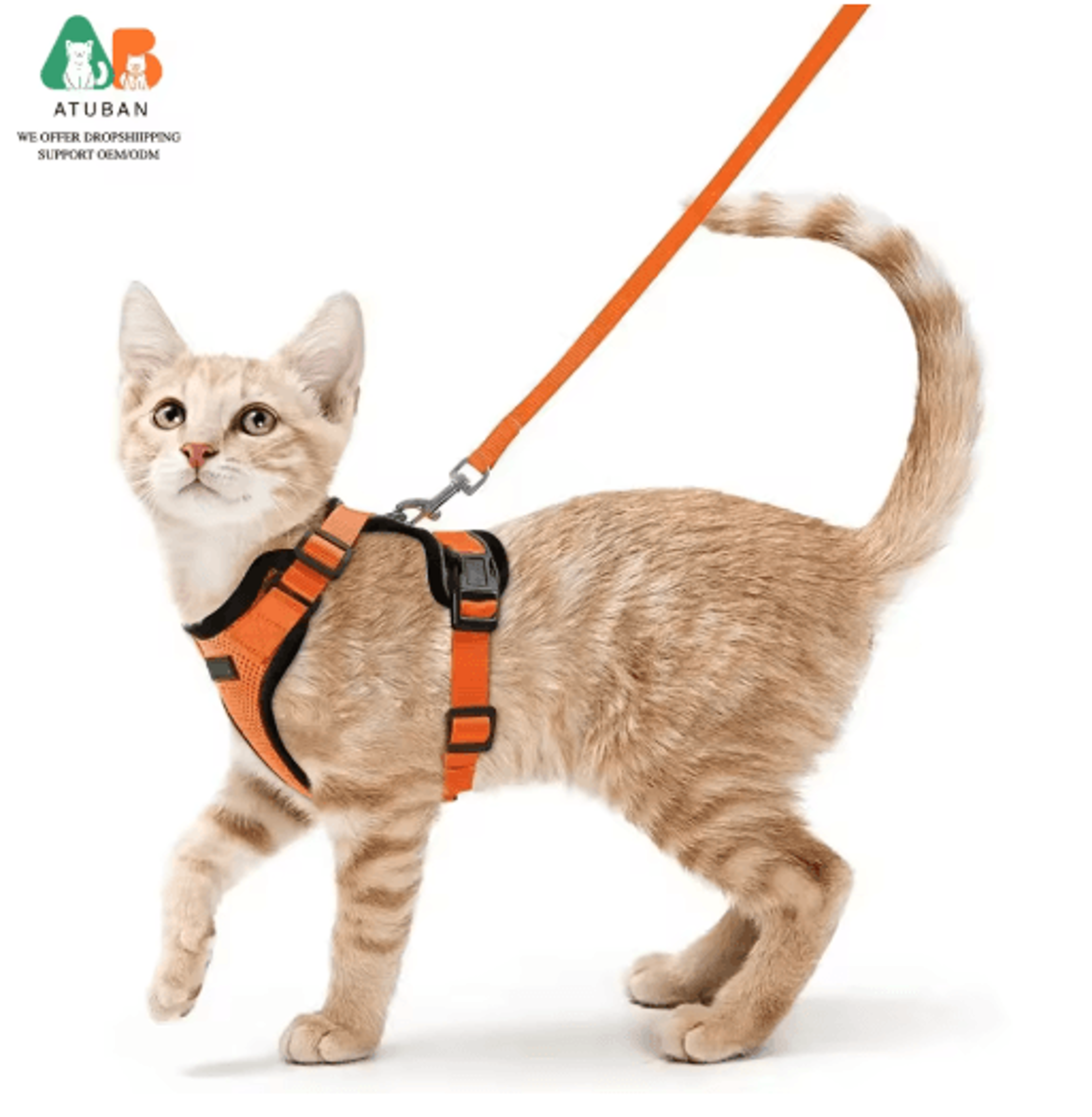 Escape Proof Cat Harness And Leash Set  Adjustable Reflective Walking Vest 0