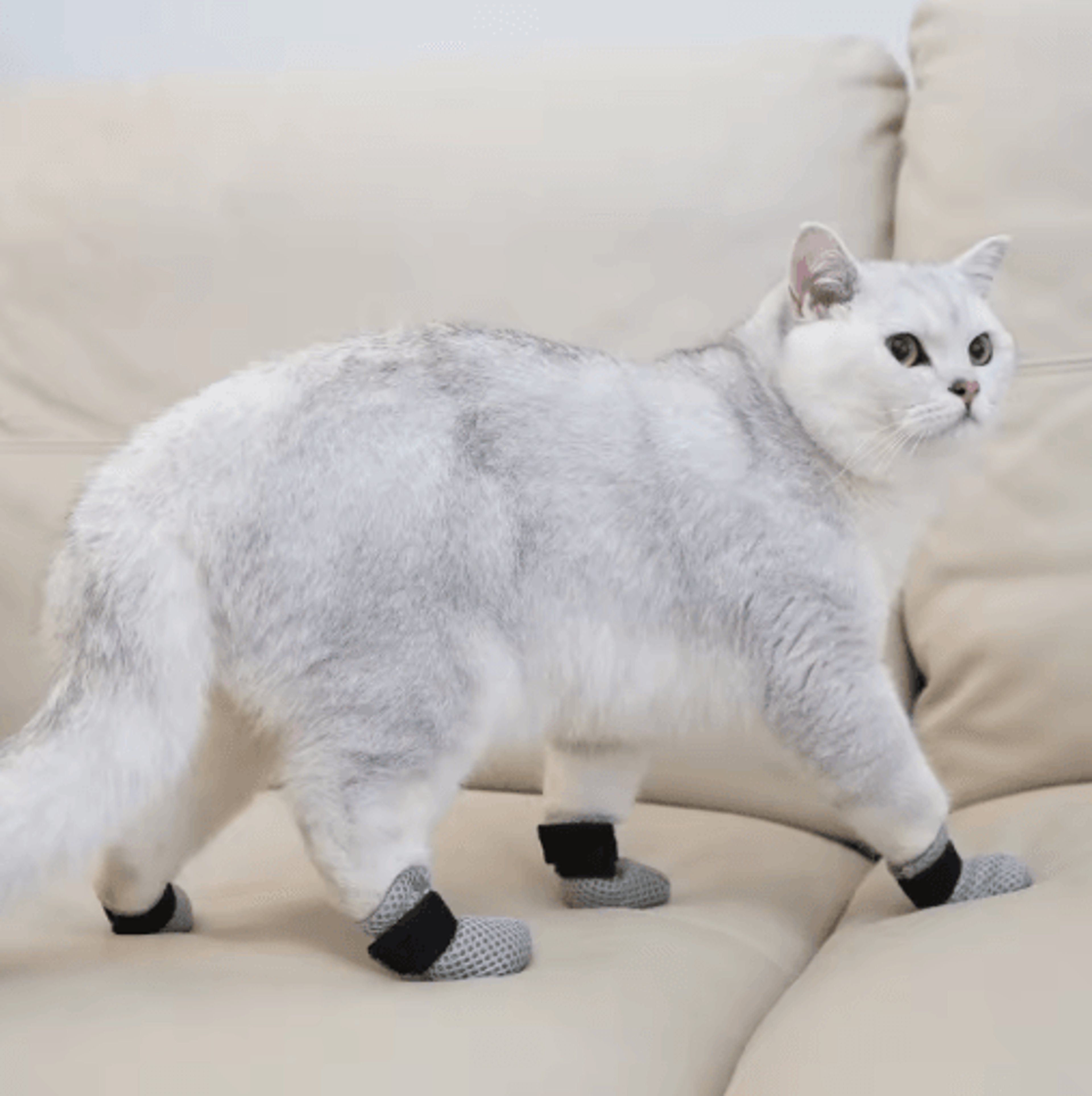 AntiScratch Cat Socks Soft Breathable Pet Booties With Secure Velcro Straps 0