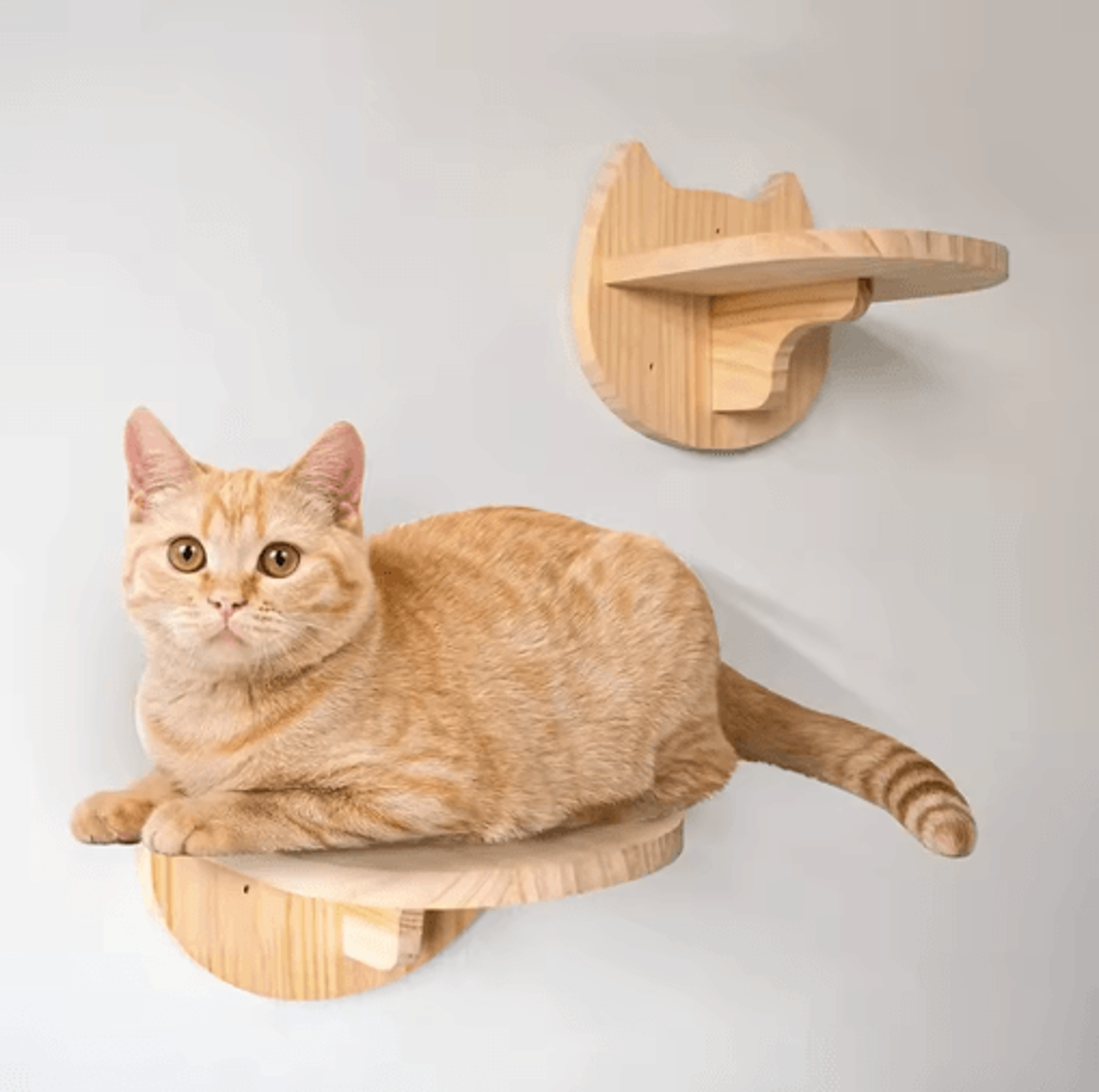 WallMounted Cat Climbing Shelves Set Cat Hammock Steps  Jumping Platform 13