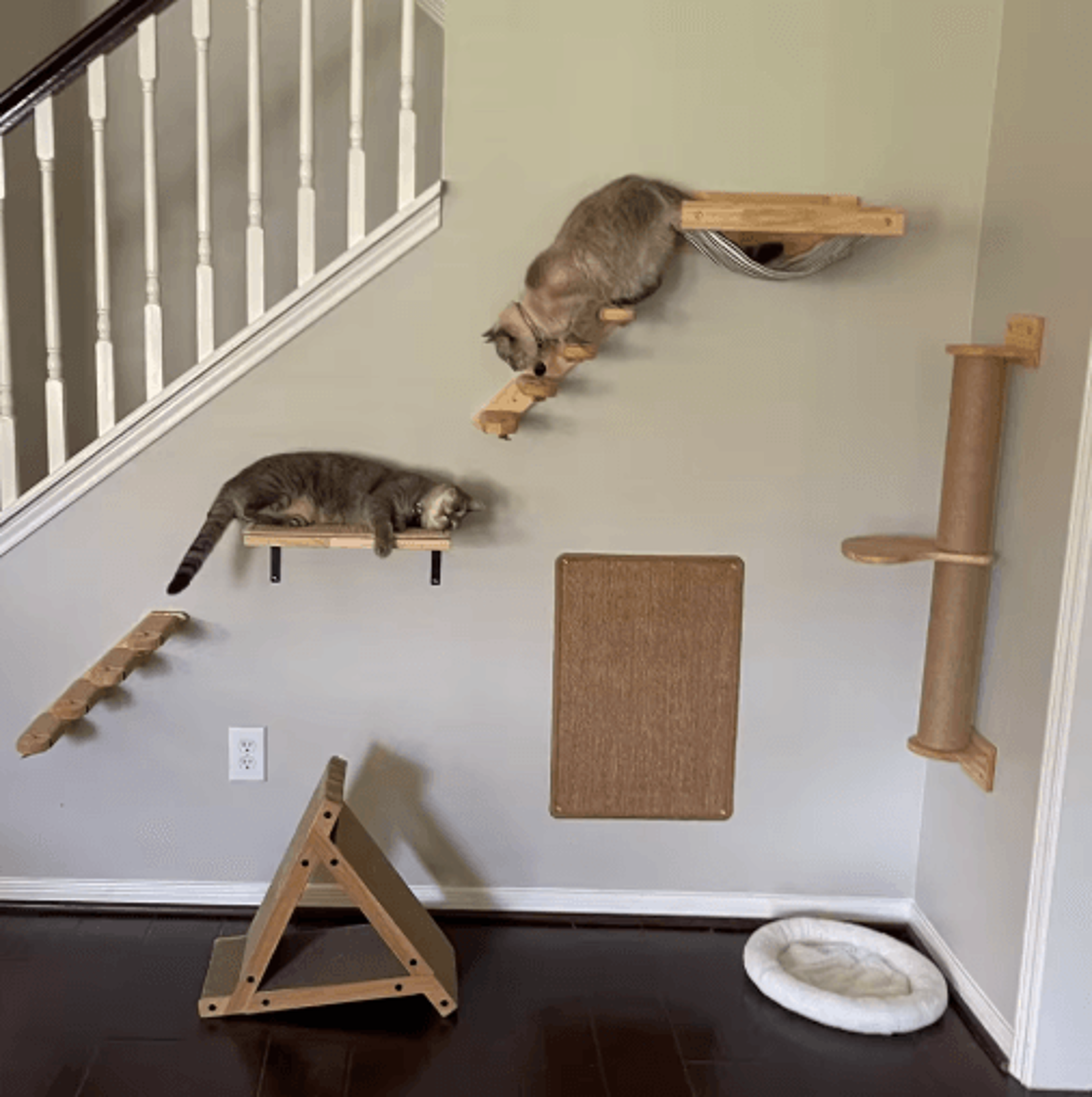 WallMounted Cat Climbing Shelves Set Cat Hammock Steps  Jumping Platform 14