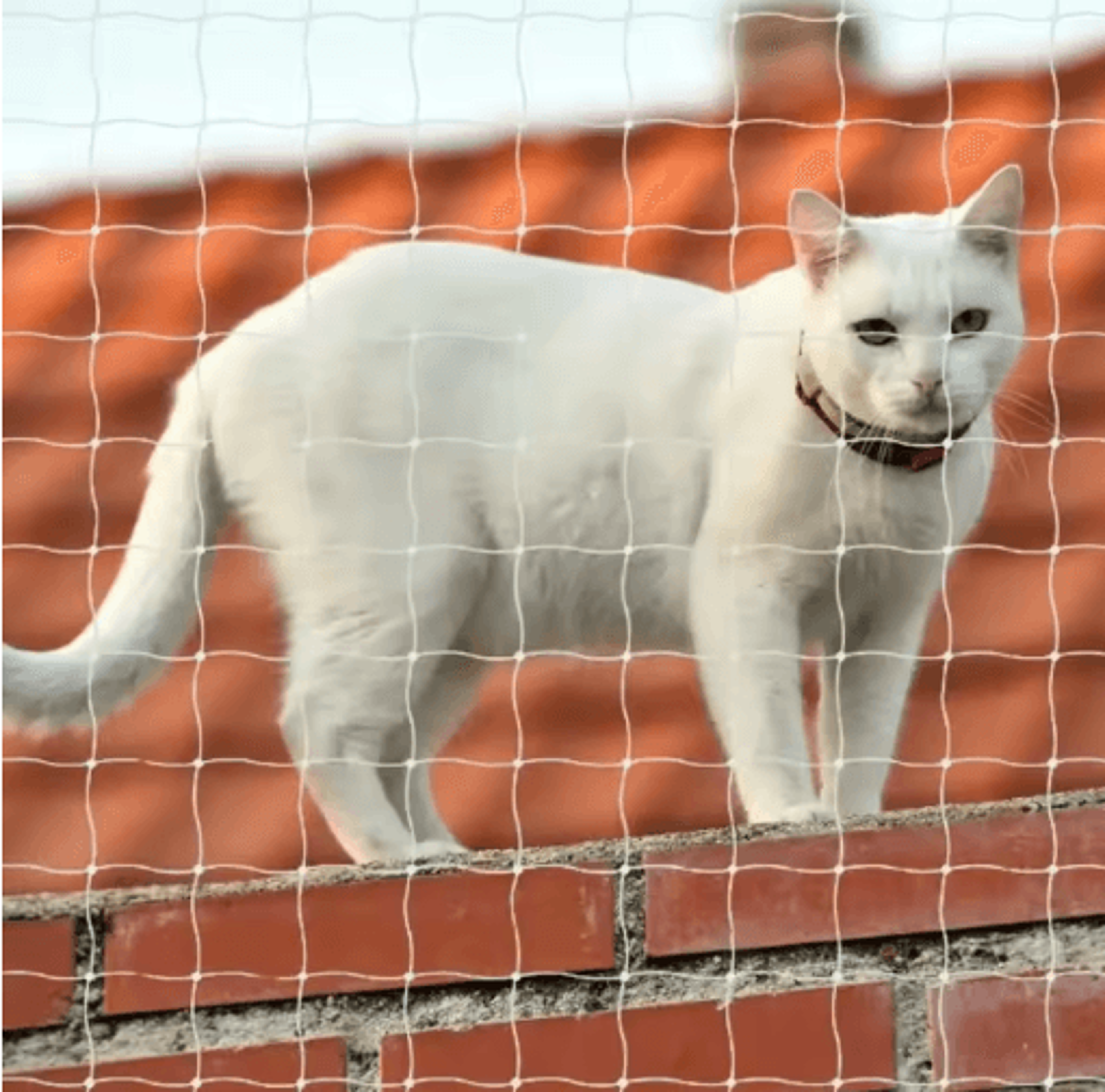 Pet Safety Net For Balconies  Durable Cat  Bird Protection Netting 7
