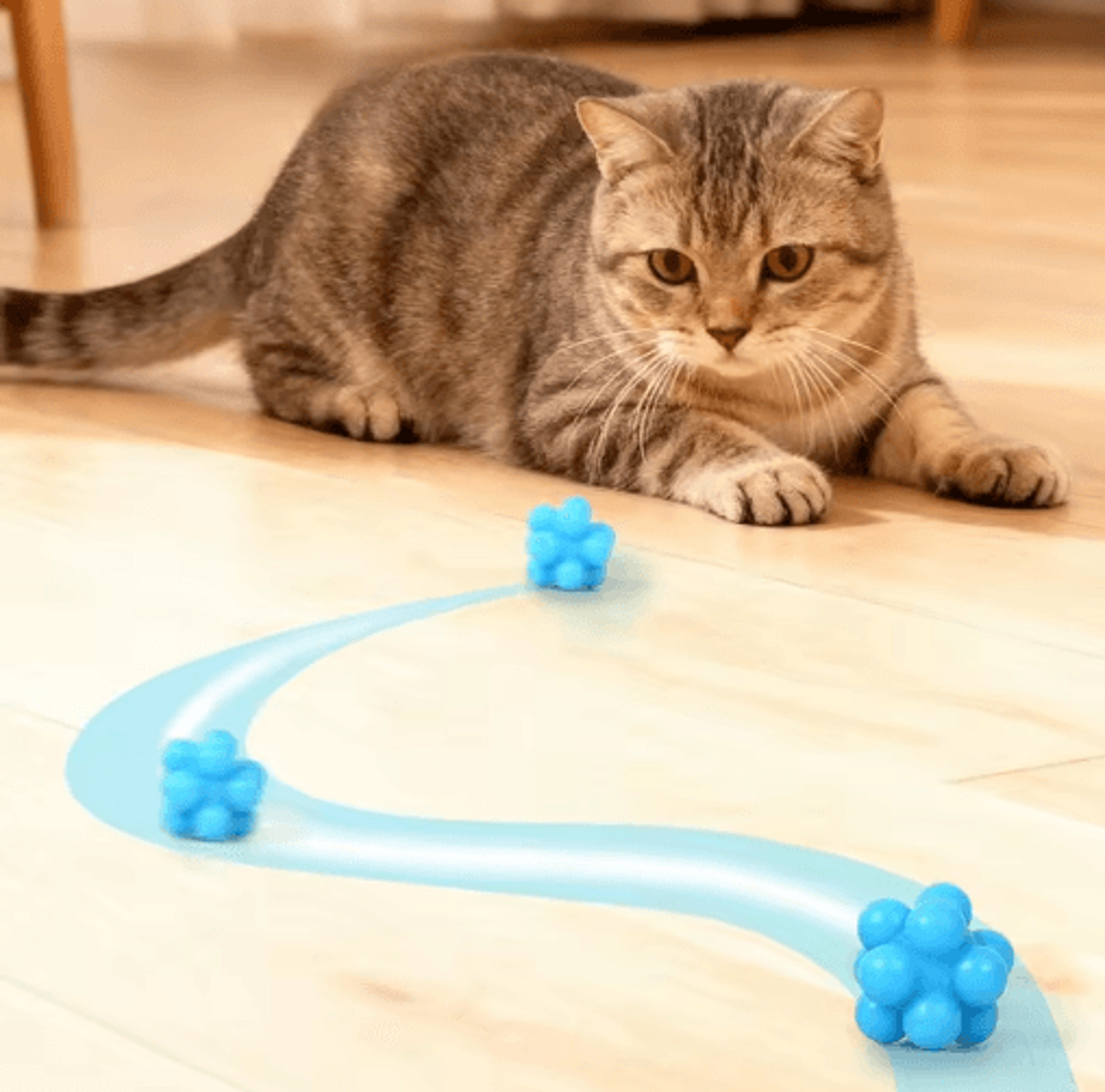HighBounce Cat Chew Ball  Interactive BiteResistant Toy For Teeth Cleaning  Play 4
