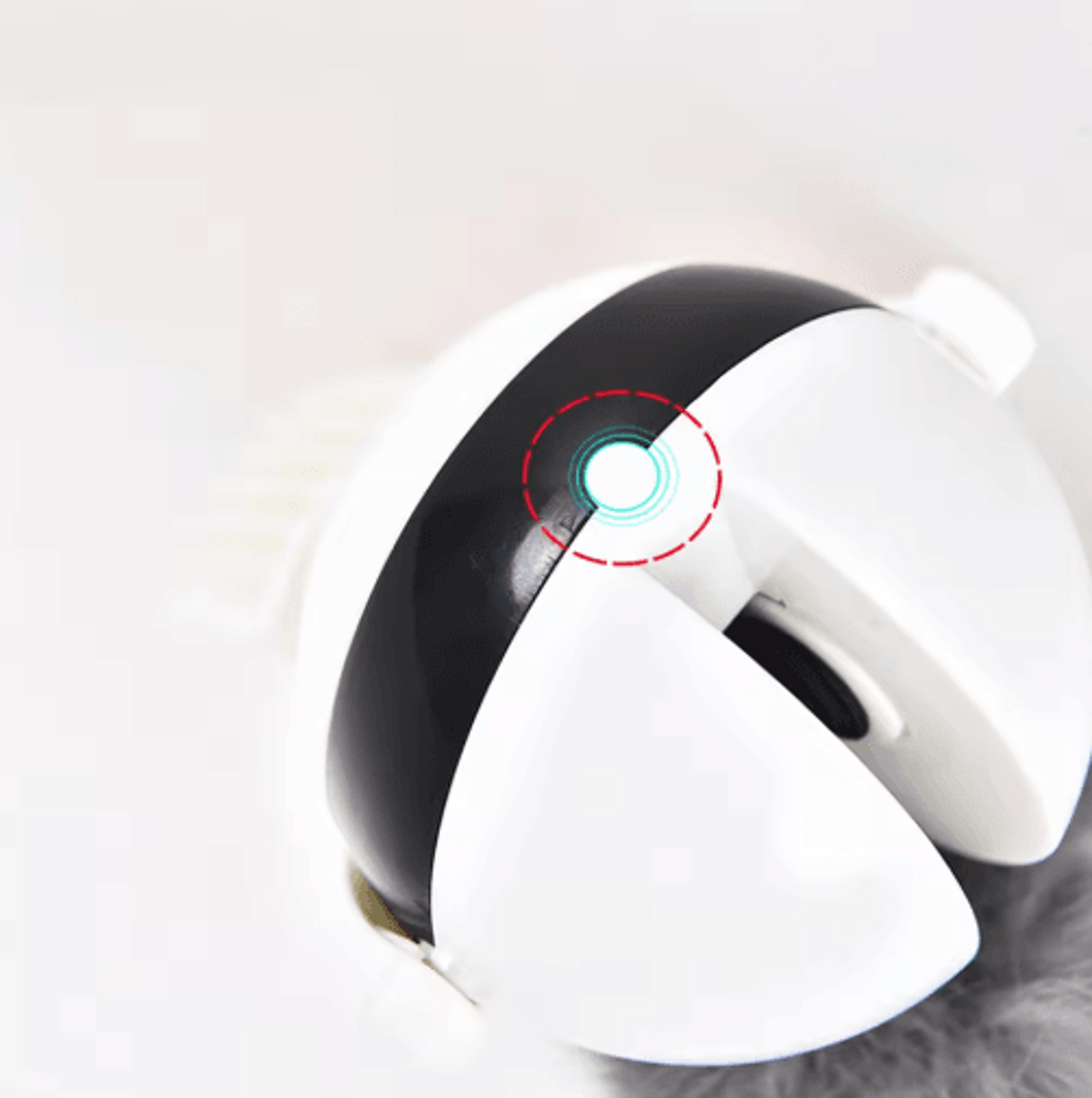 Automatic Retractable Cat Teaser Ball  Interactive Electric Motion Toy For Cats 6