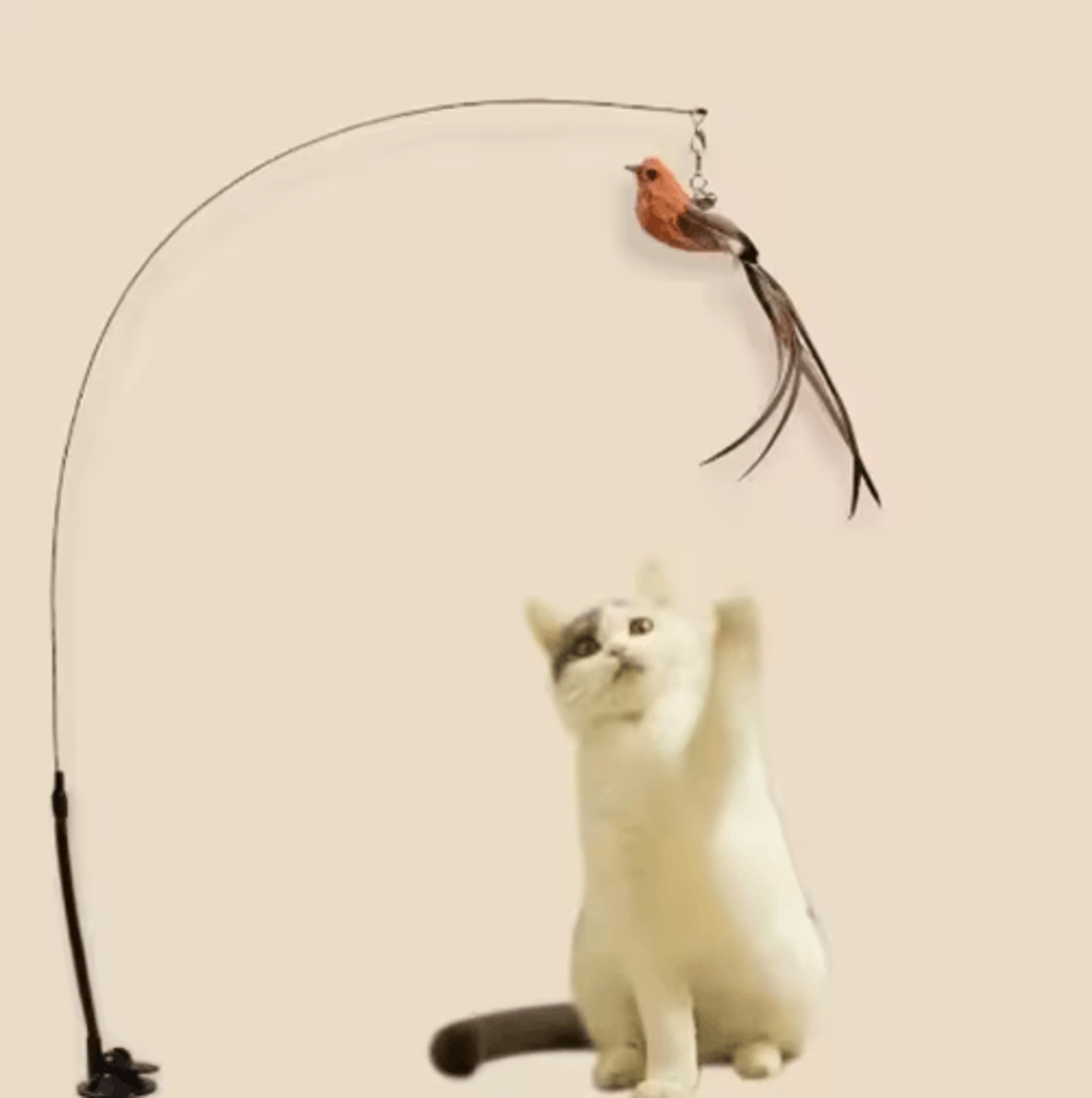 Interactive Feather Cat Teaser With Suction Cup  SelfPlay Wand Toy With Bell  Bird Attachment 3