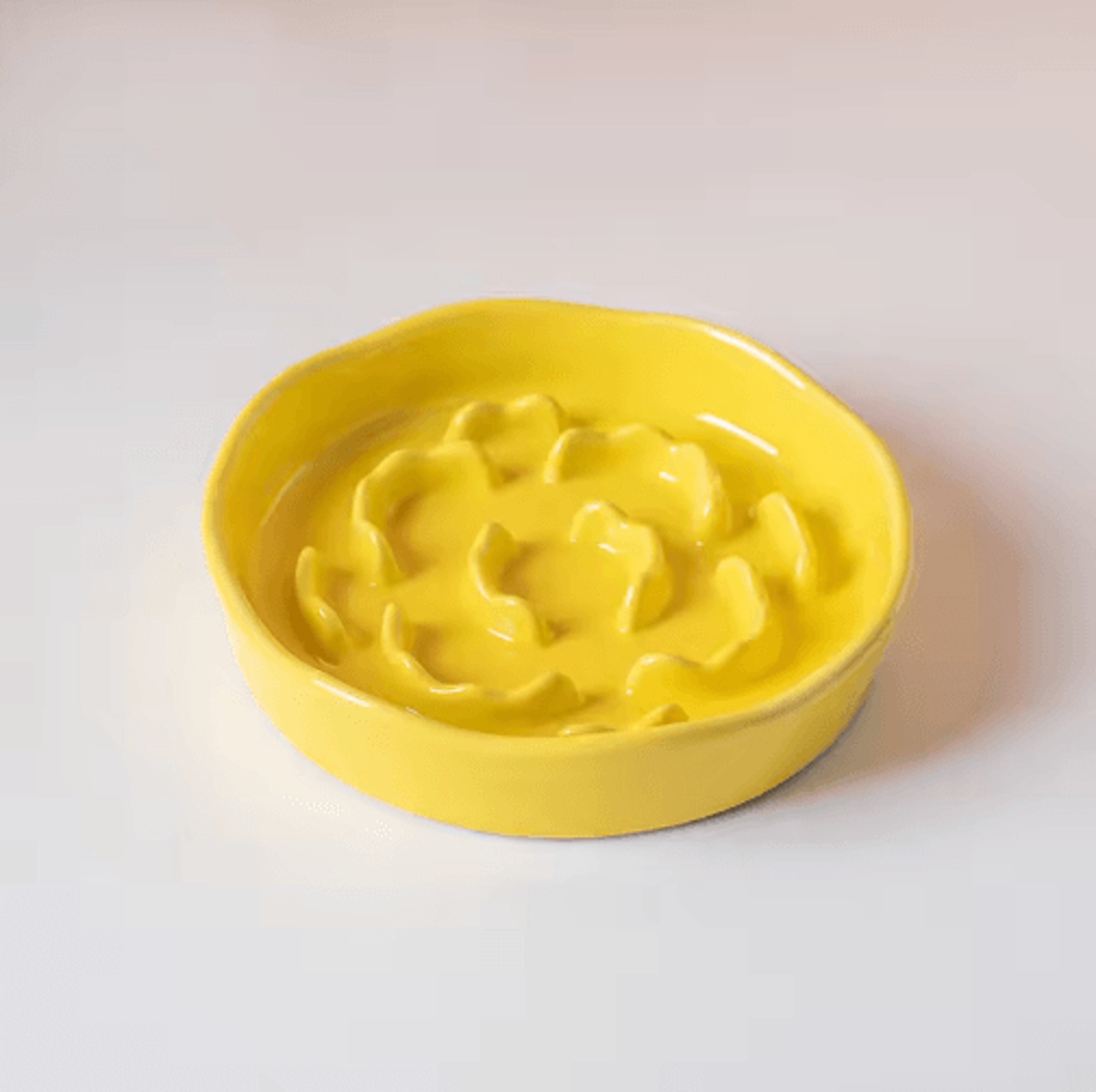 Elevated Ceramic Slow Feeder Pet Bowl For Cats  Small Dogs 5
