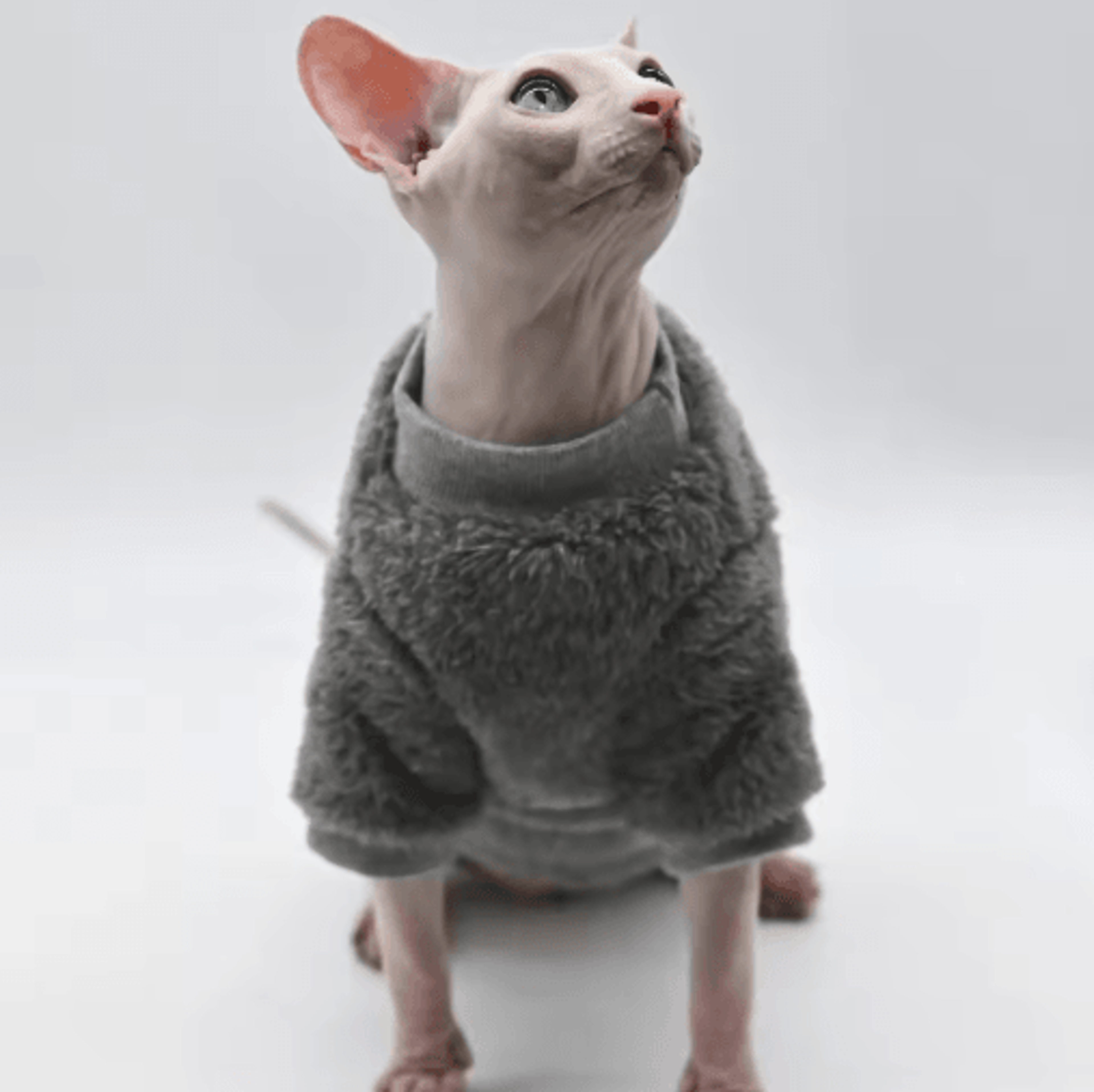 DUOMASUMI Warm DoubleSided Fleece Winter Jacket For Sphynx  Hairless Cats 2