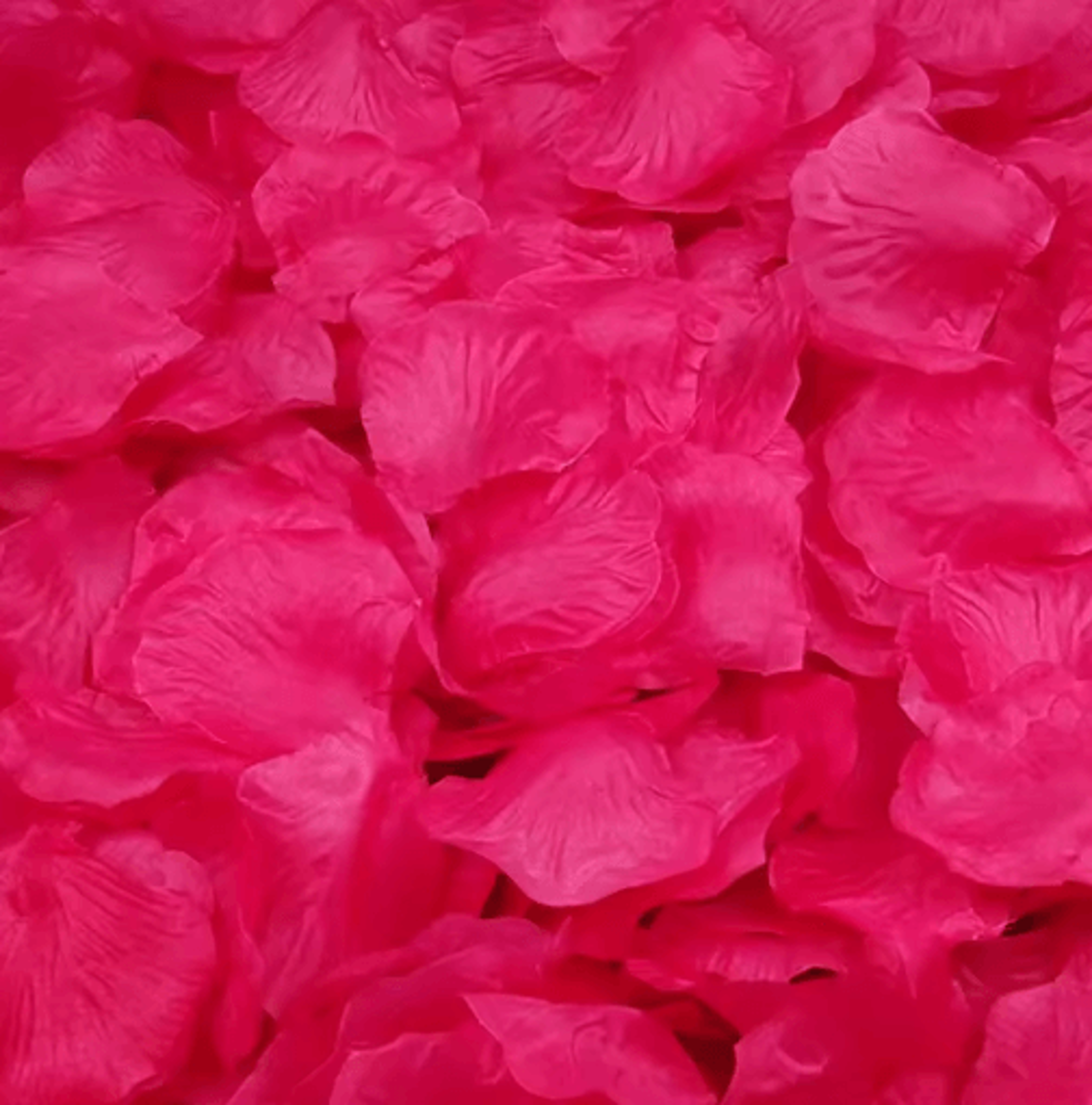 Multicolor Artificial Rose Petals  Soft Silk Rose Petals For Valentines Day Weddings  Romantic Part 9