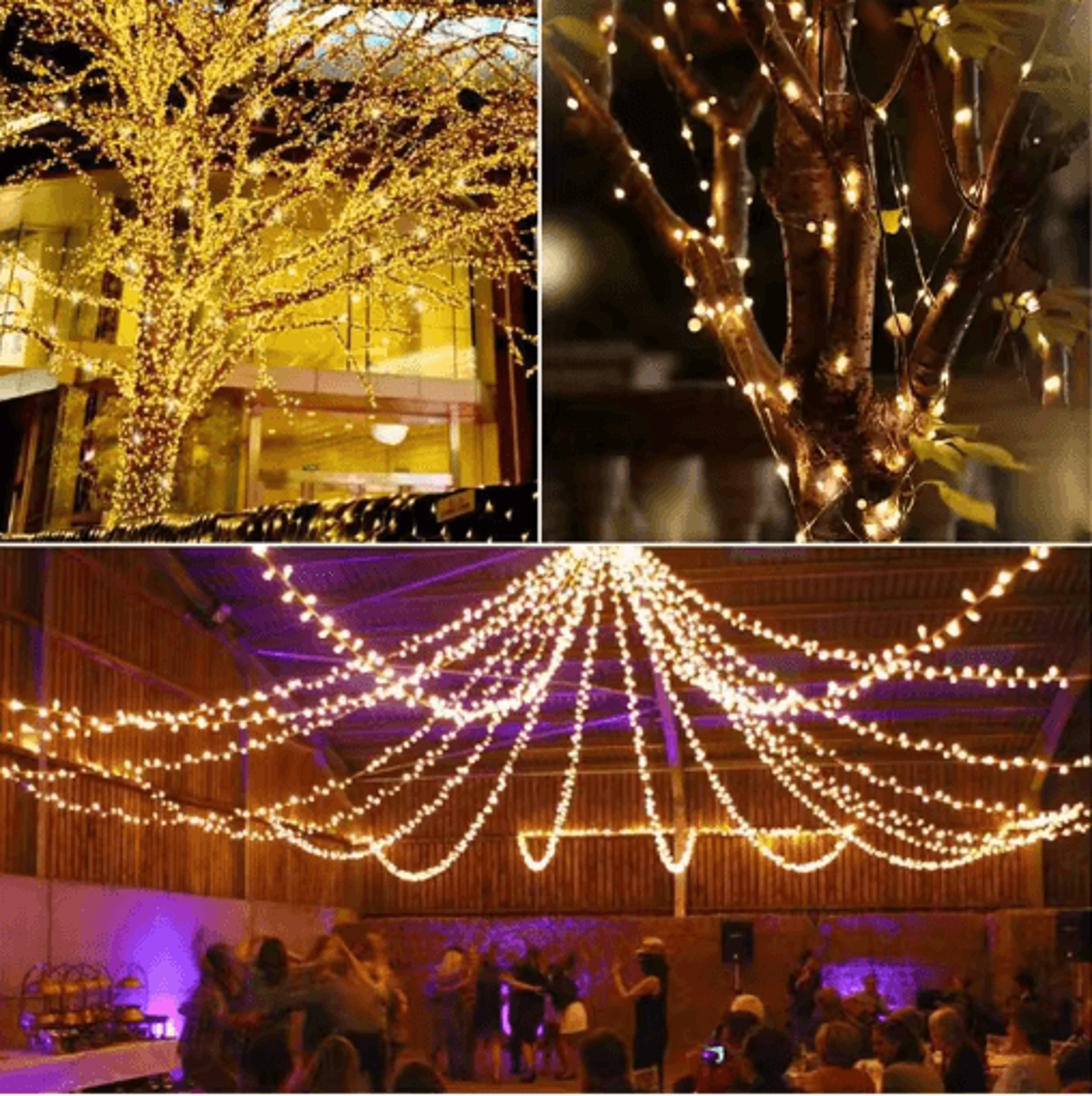 Solar LED Fairy String Lights  Waterproof Outdoor Twinkle Lights For Garden Patio  Christmas Decor 12