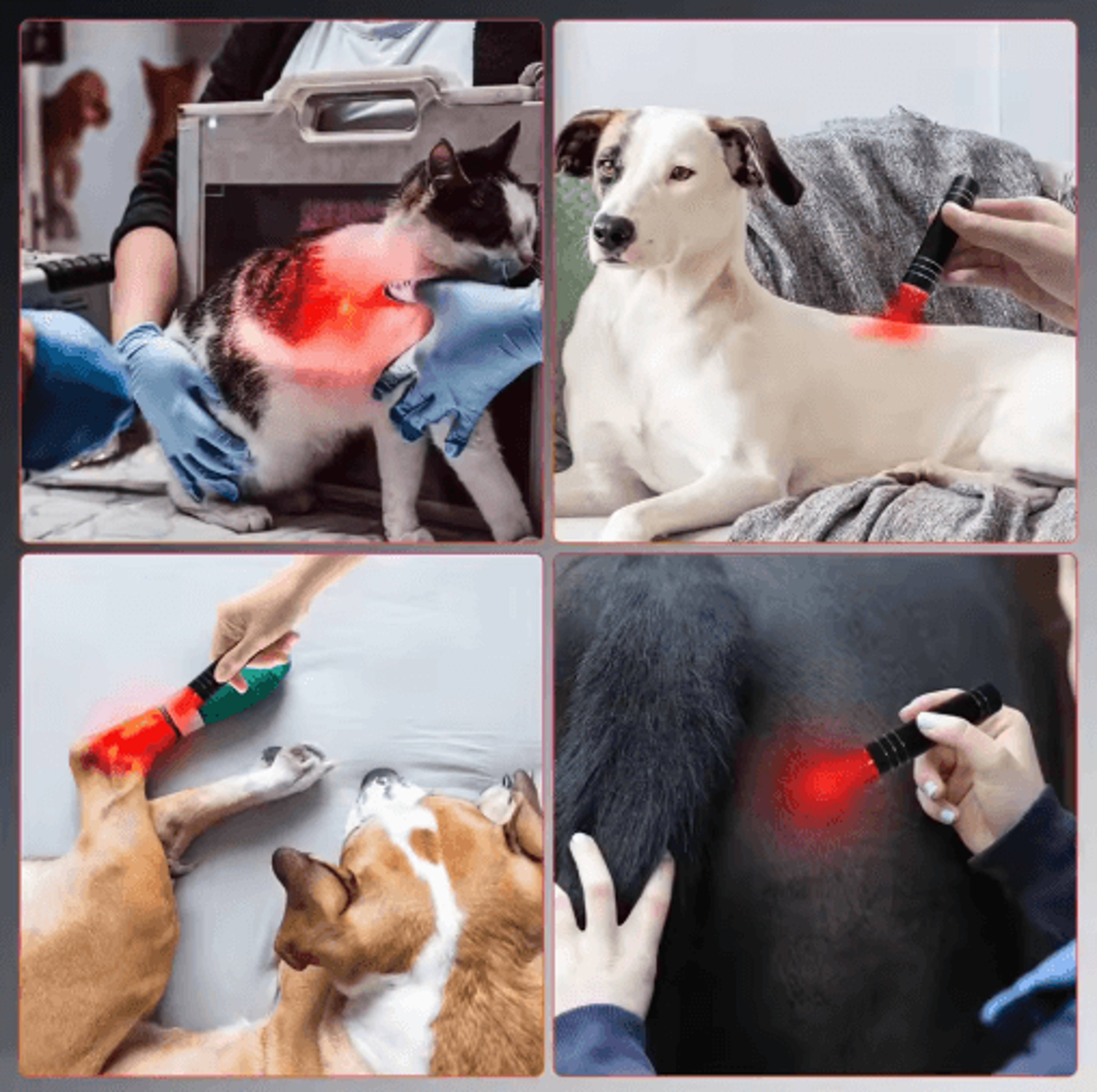 Professional Red  Blue LED Therapy Flashlight  Portable Light Therapy Device 4