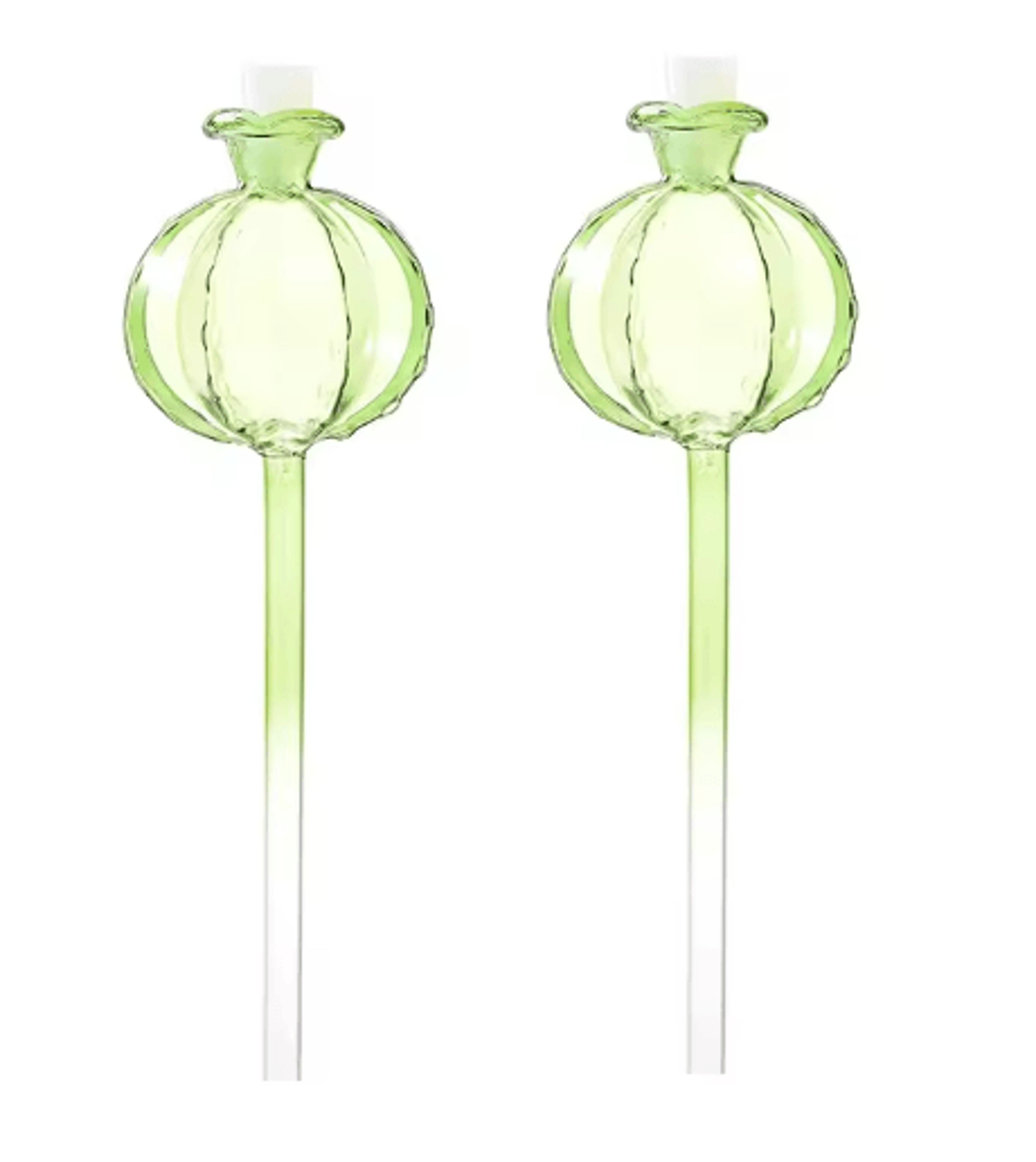 Glass Automatic Plant Watering Bulbs  SelfWatering Drip Irrigation Globes For Indoor  Outdoor Plant 1